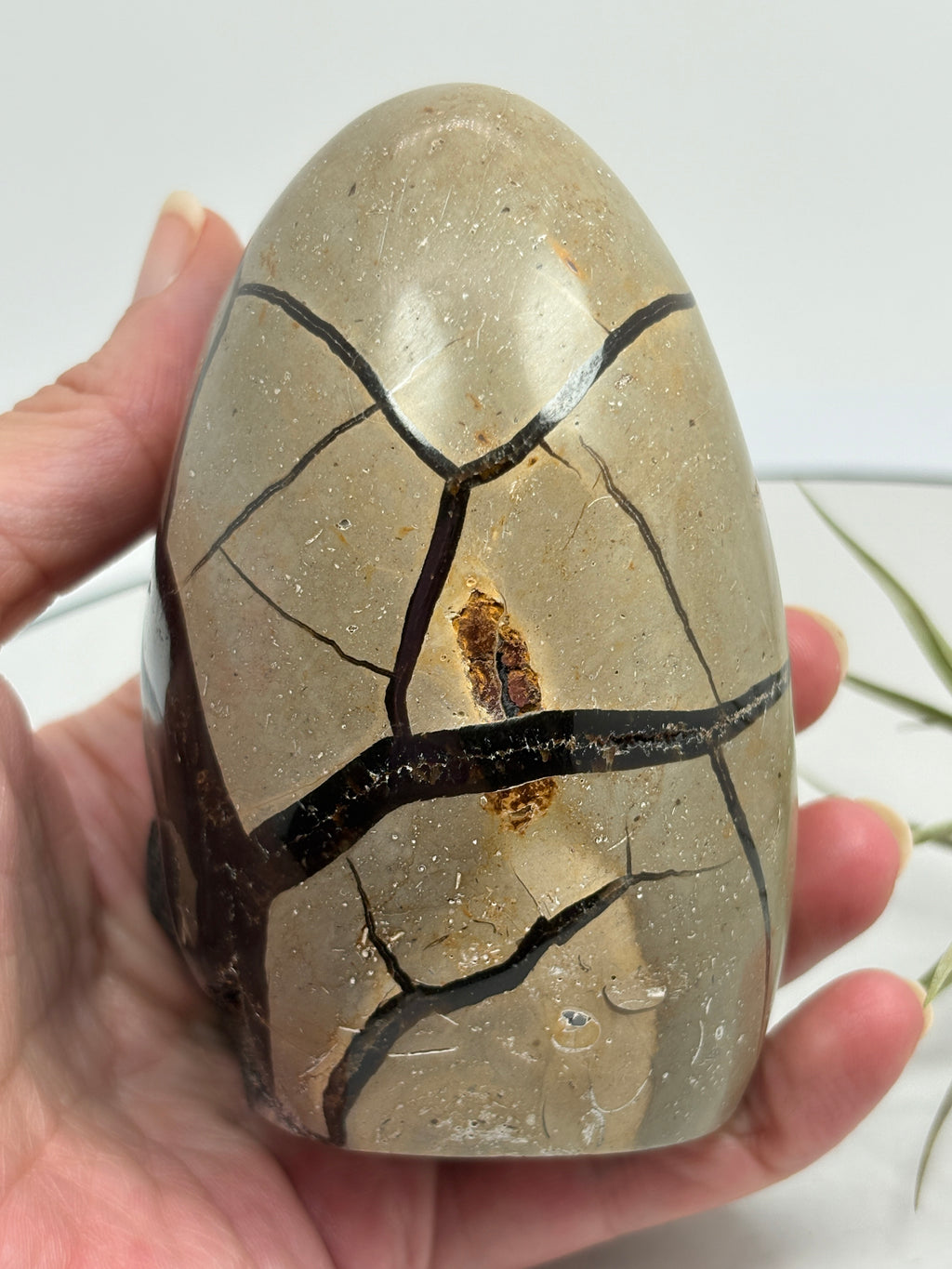 Impresionante esfera de cuarzo chamánico de gran tamaño, una pieza única llena de carácter y belleza natural.

Su interior presenta inclusiones, velos y fracturas naturales que crean espectaculares reflejos arcoíris al recibir la luz.