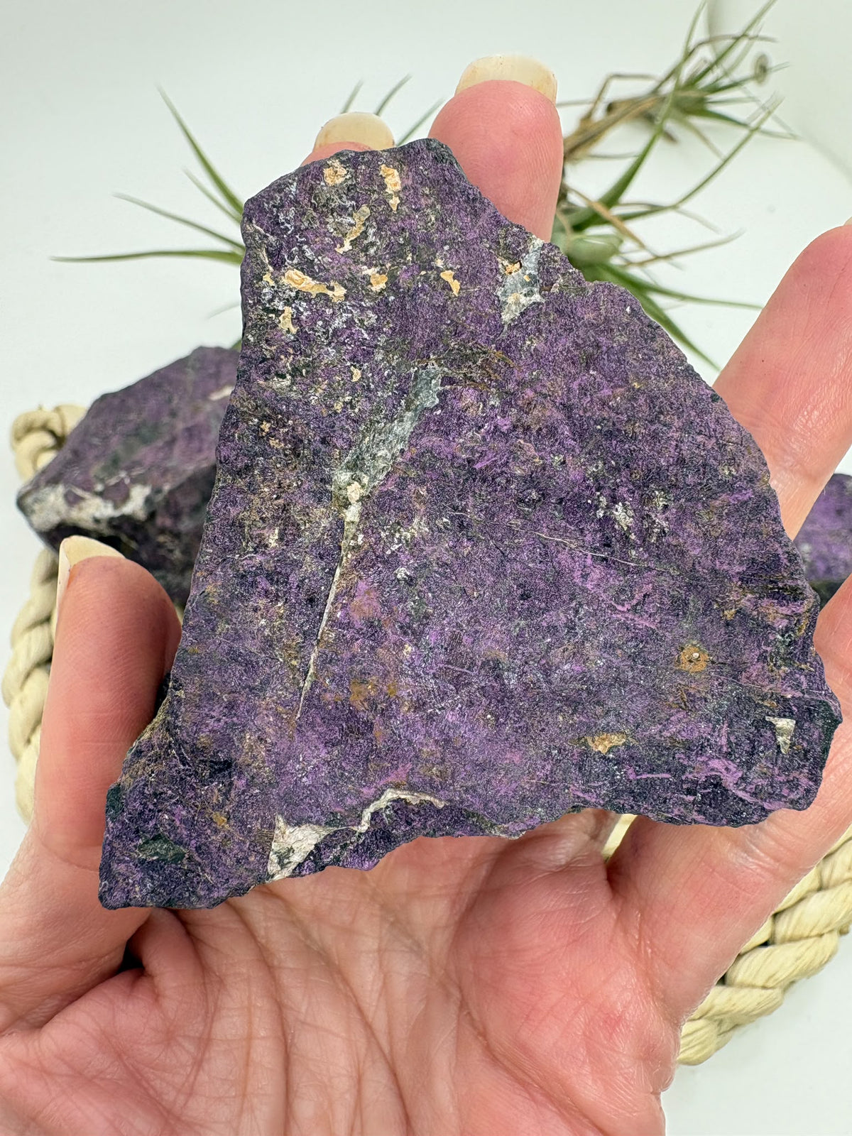 Purpurita natural en bruto procedente de Namibia. Piezas únicas de intenso color violeta para elegir, ideales para colección y meditación.