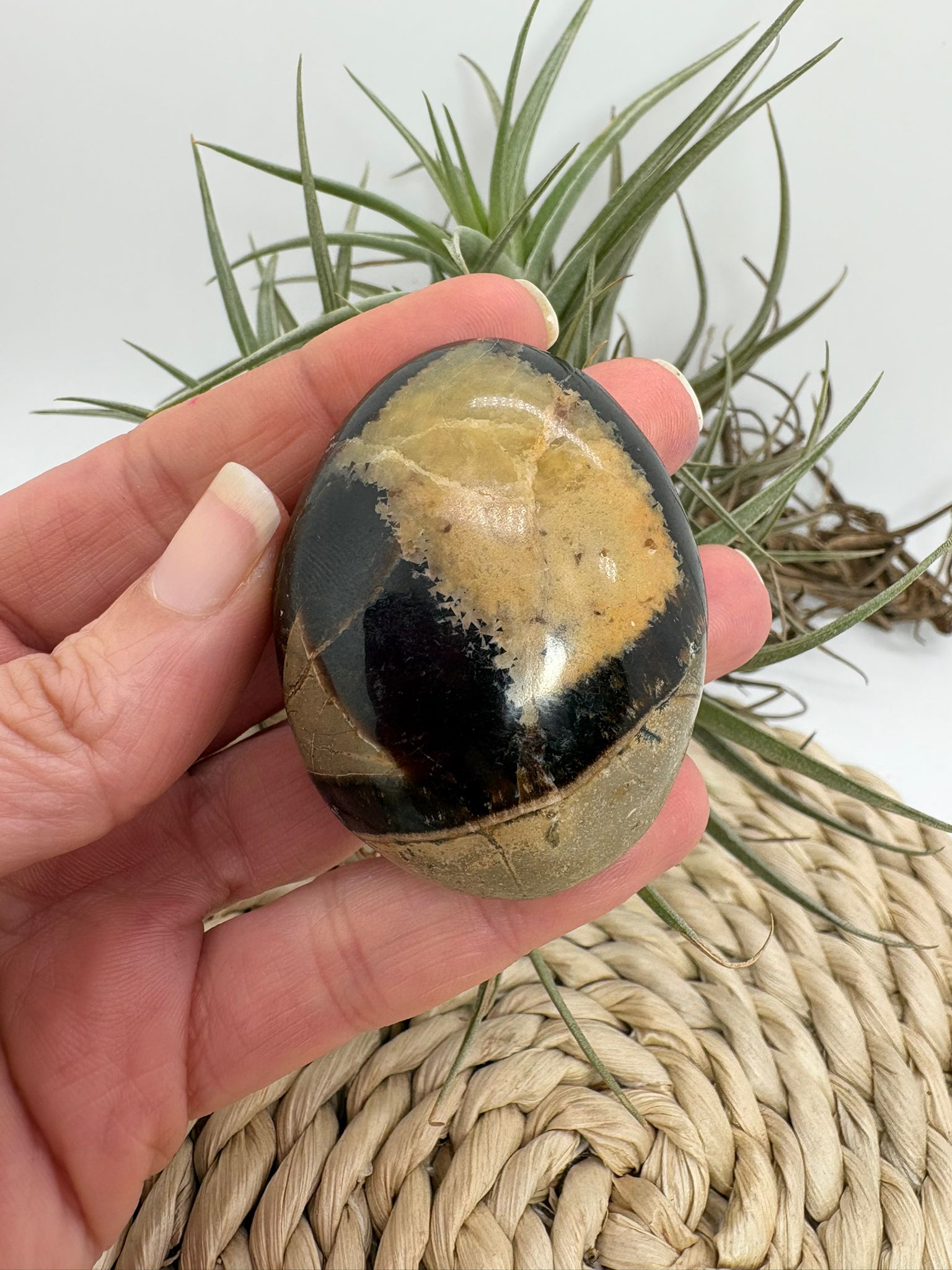 Palmstone de septaria natural. Piedra de equilibrio, protección y conexión con la tierra. Ideal para meditación y estabilidad emocional.
