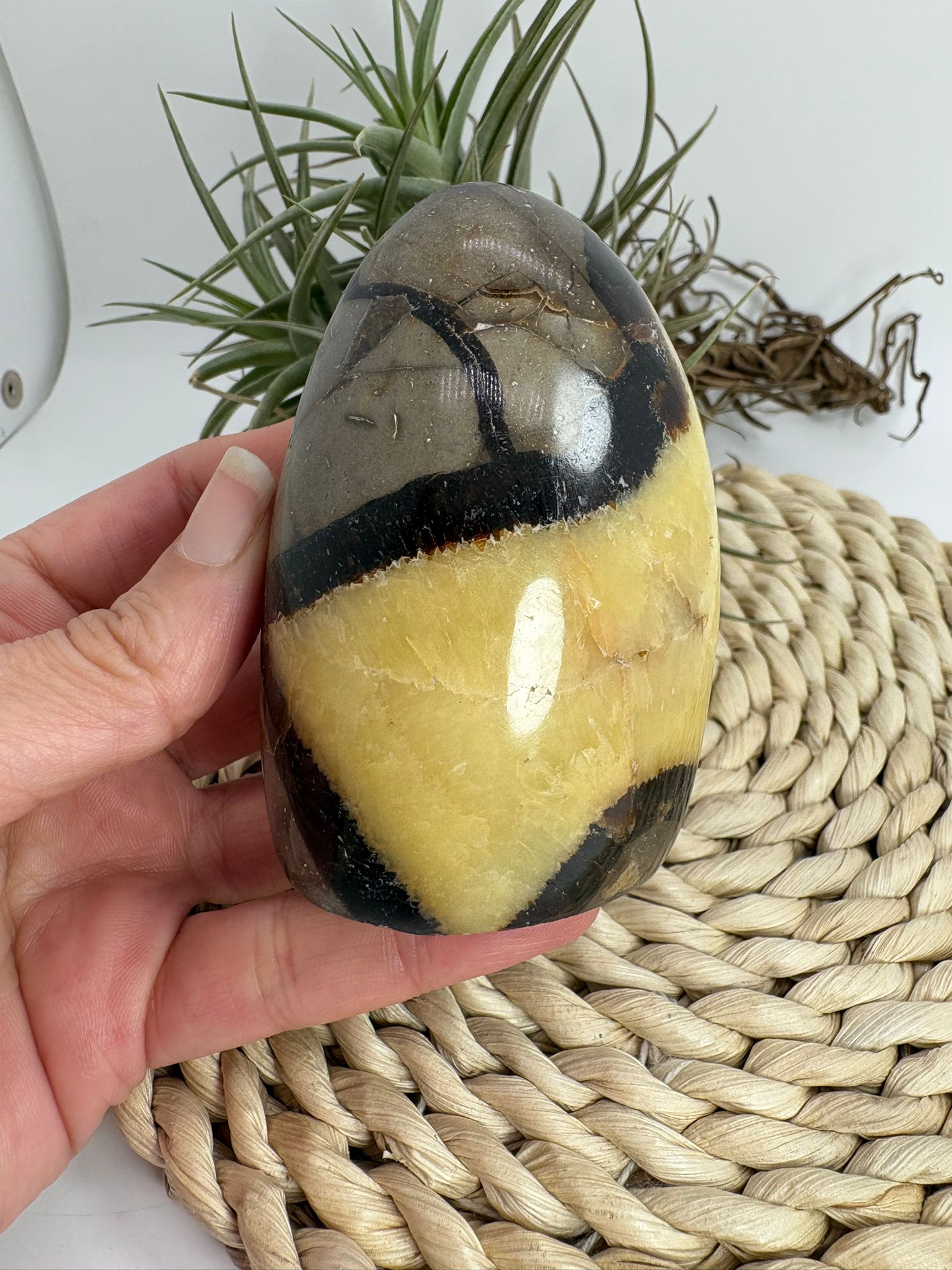Septaria pulida en forma libre, piedra natural de equilibrio y conexión con la tierra. Ideal para decoración, bienestar y colección de minerales.