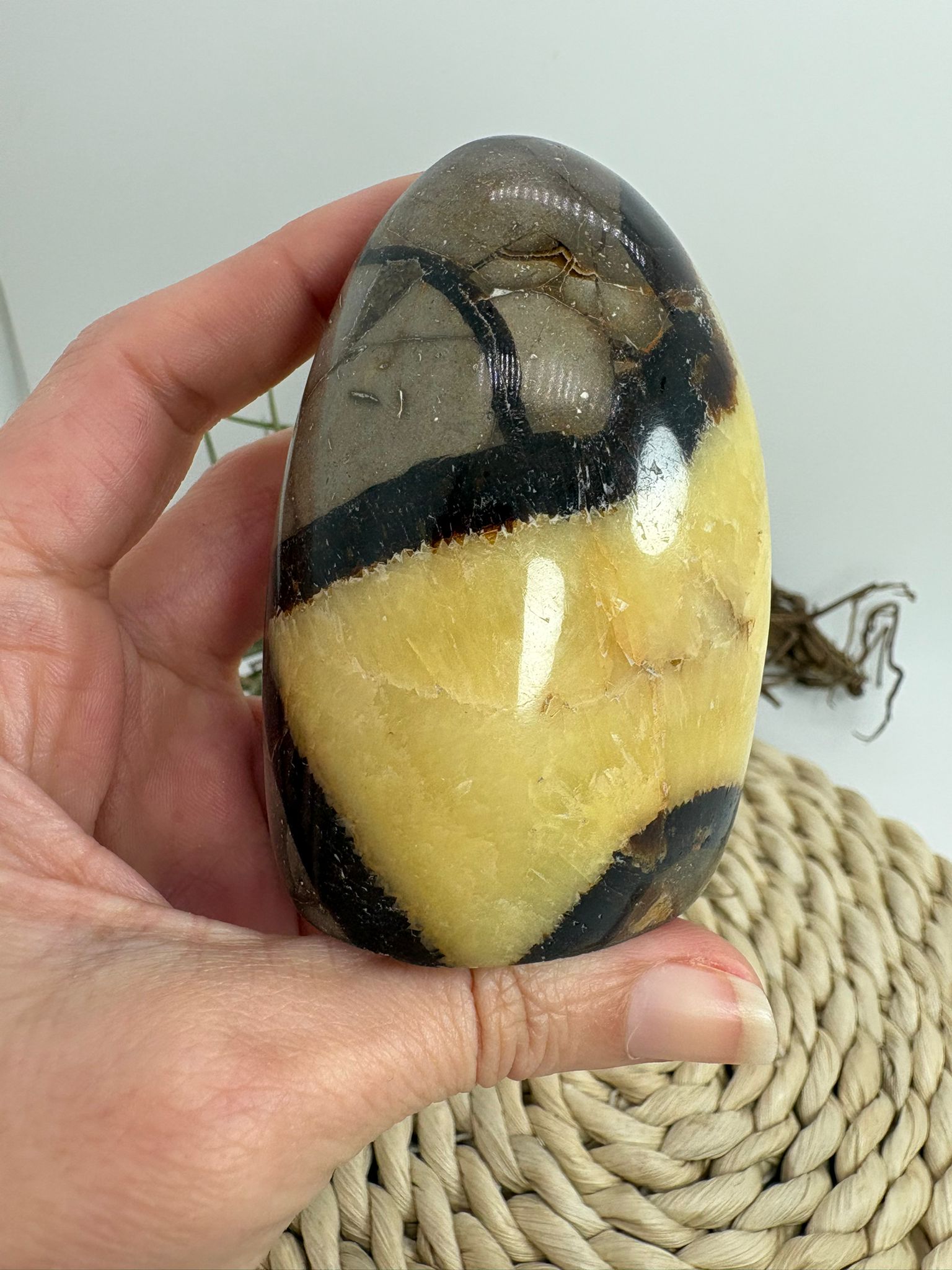 Septaria pulida en forma libre, piedra natural de equilibrio y conexión con la tierra. Ideal para decoración, bienestar y colección de minerales.