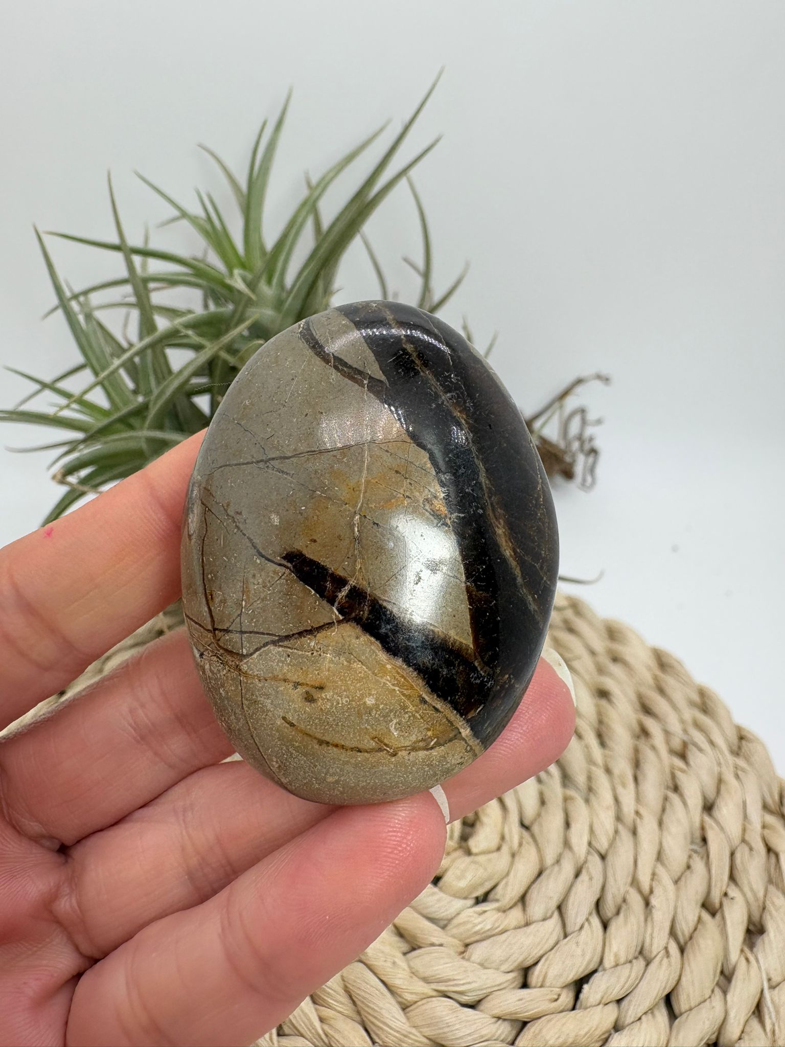 Palmstone de septaria natural. Piedra de equilibrio, protección y conexión con la tierra. Ideal para meditación y estabilidad emocional.