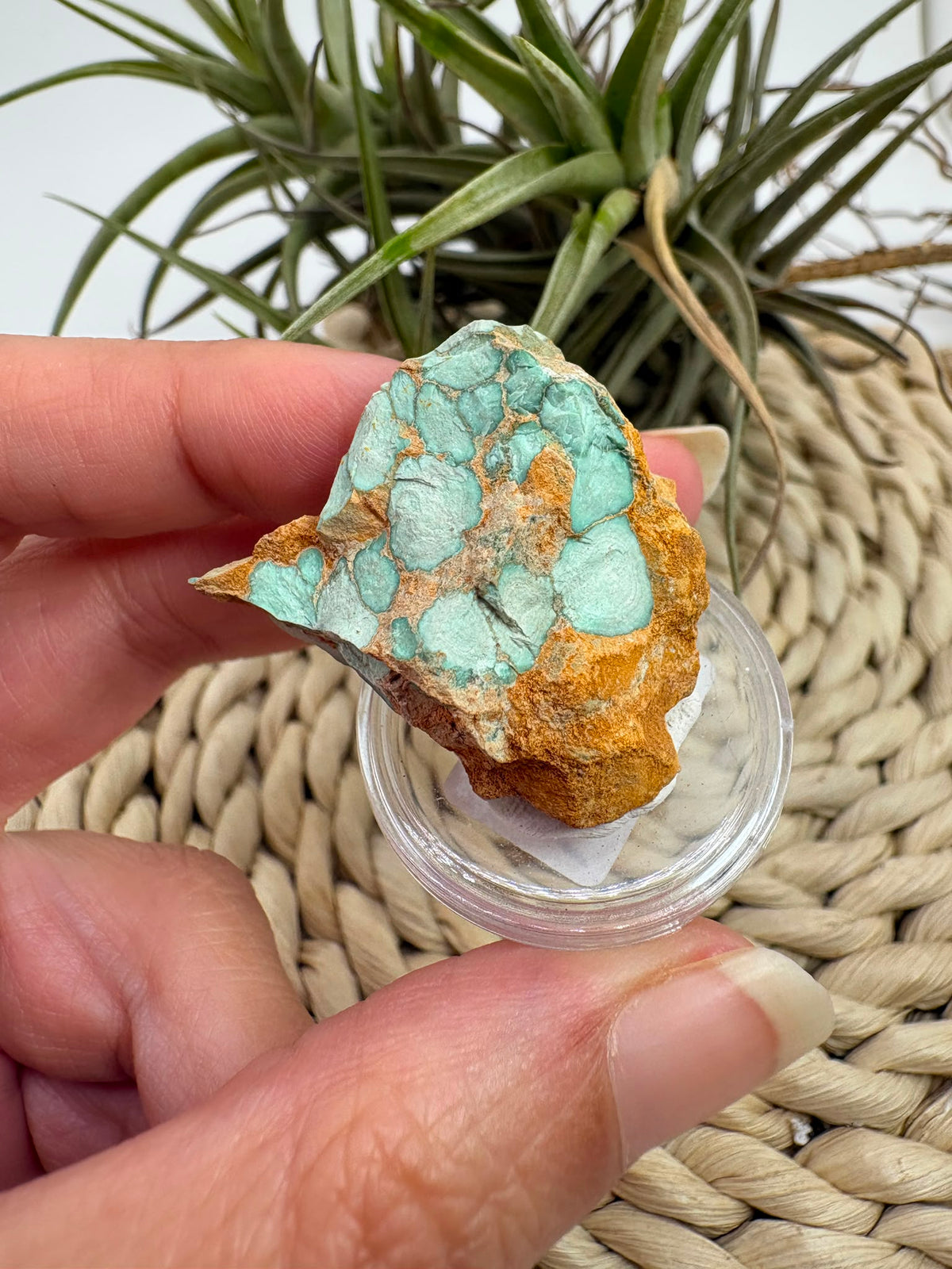 Variscita natural de Zamora en bruto, de aproximadamente 3 × 3 cm. Piezas únicas de tonos verdes y matriz natural. Envío de una pieza al azar.
