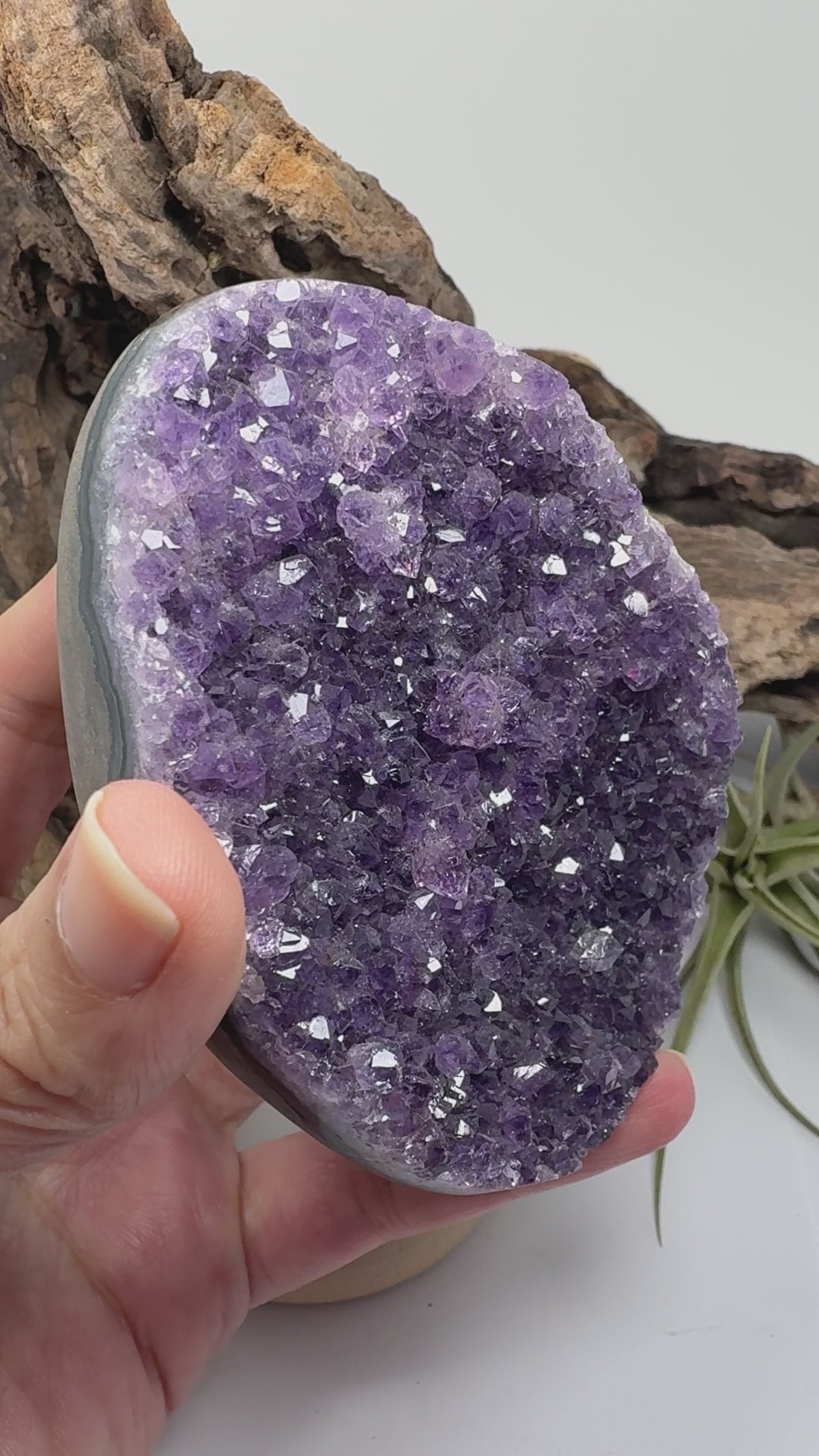 Drusa de amatista natural - cristales violetas brillantes - 8,3 x 5,8 x 4,6 cm