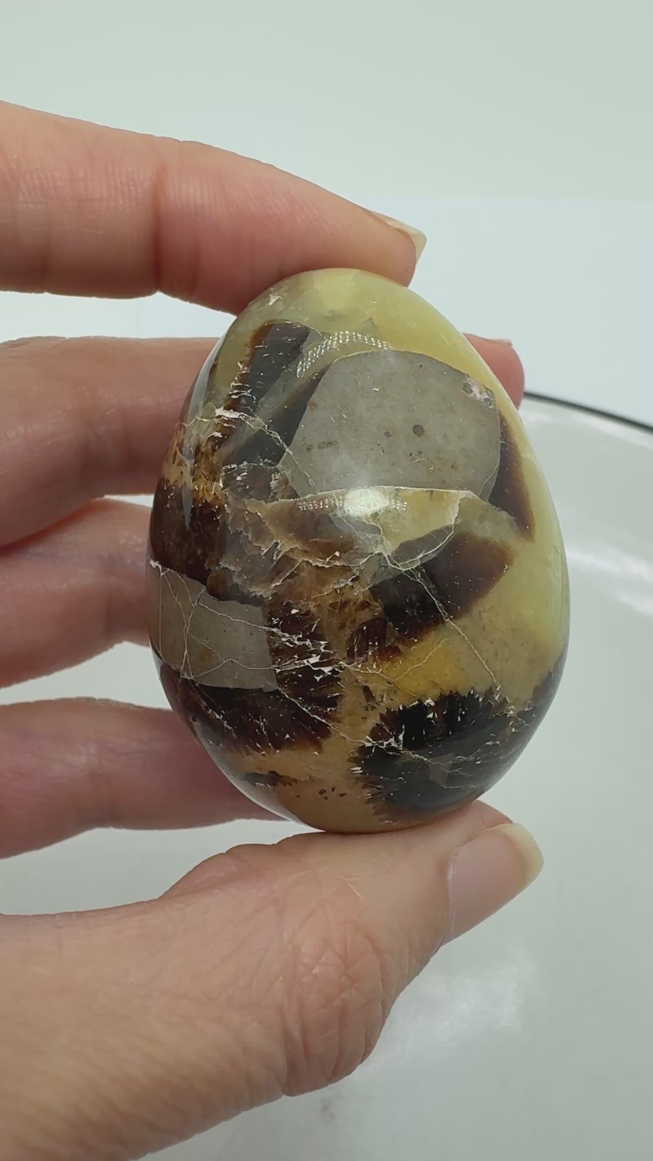 Un pequeño huevo de septaria que combina tonos amarillos y miel con zonas marrones y gris oscuro. Su acabado pulido realza los dibujos naturales de la piedra, creando un bonito contraste que hace especial cada una de sus caras.