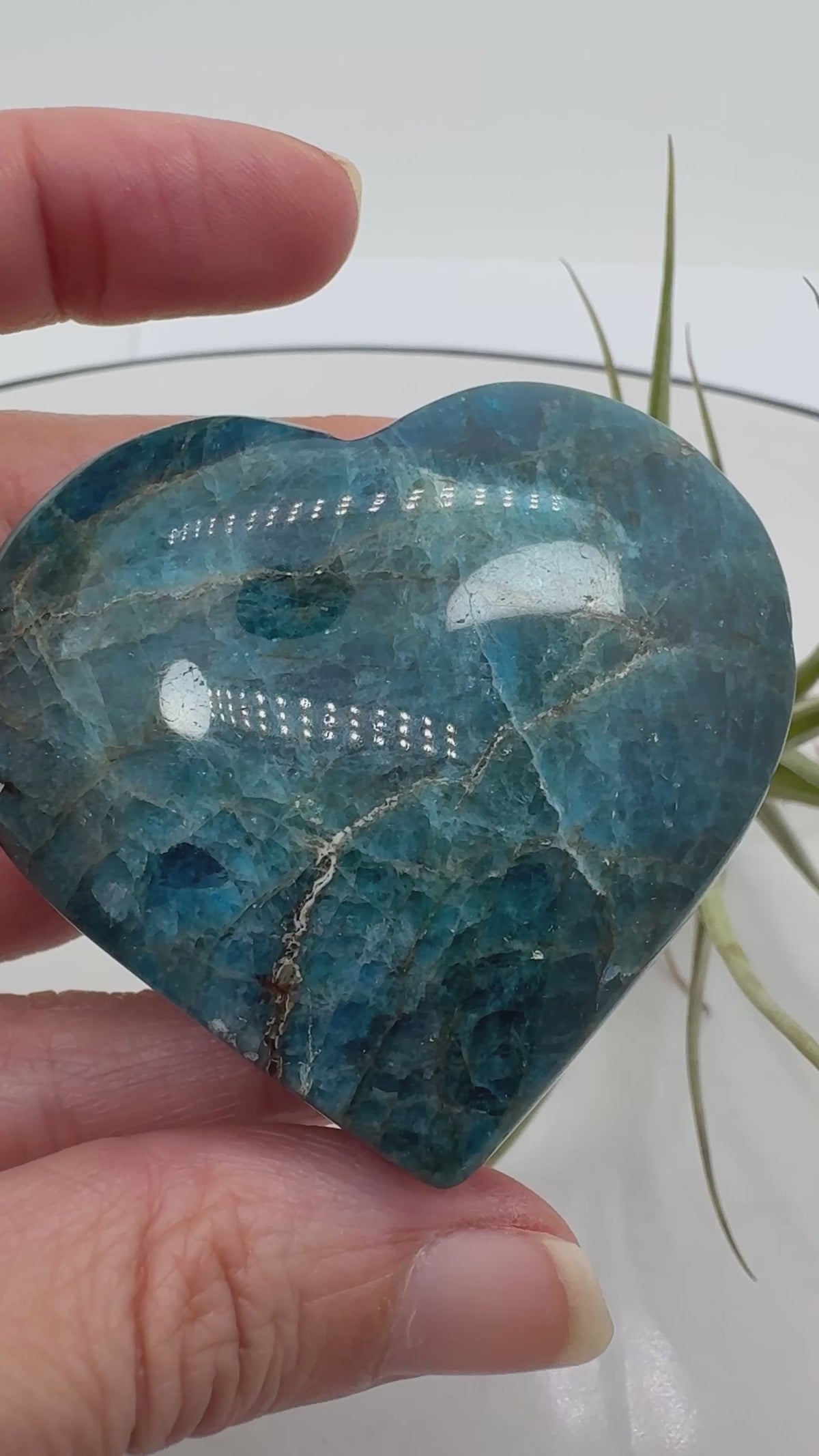 &nbsp;Corazón de apatito azul pulido de gran belleza, con tonos intensos y vetas naturales que hacen cada pieza única.

Ideal para aportar color y energía a cualquier espacio o llevar contigo.