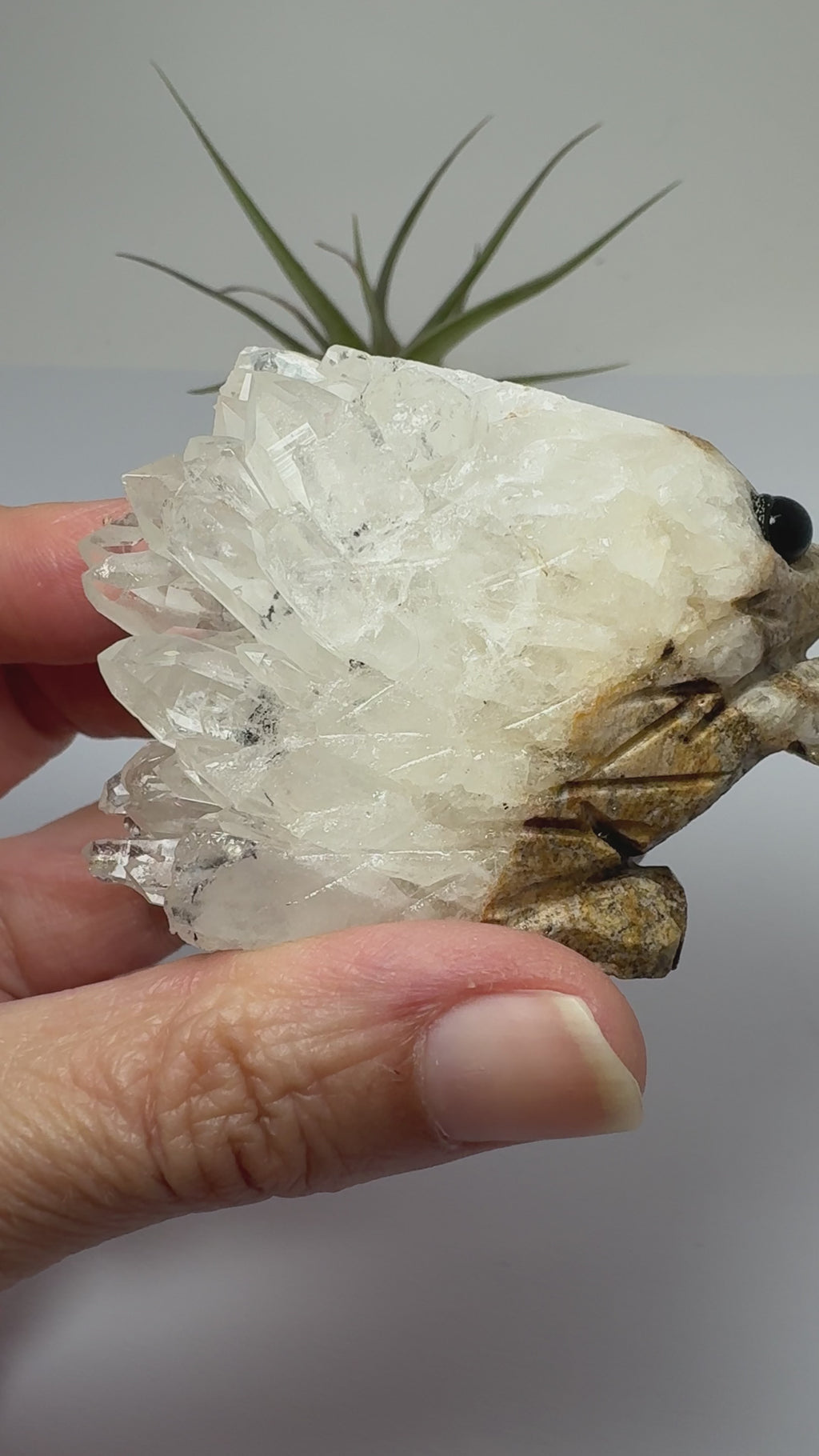 Erizo de cuarzo con cristales naturales