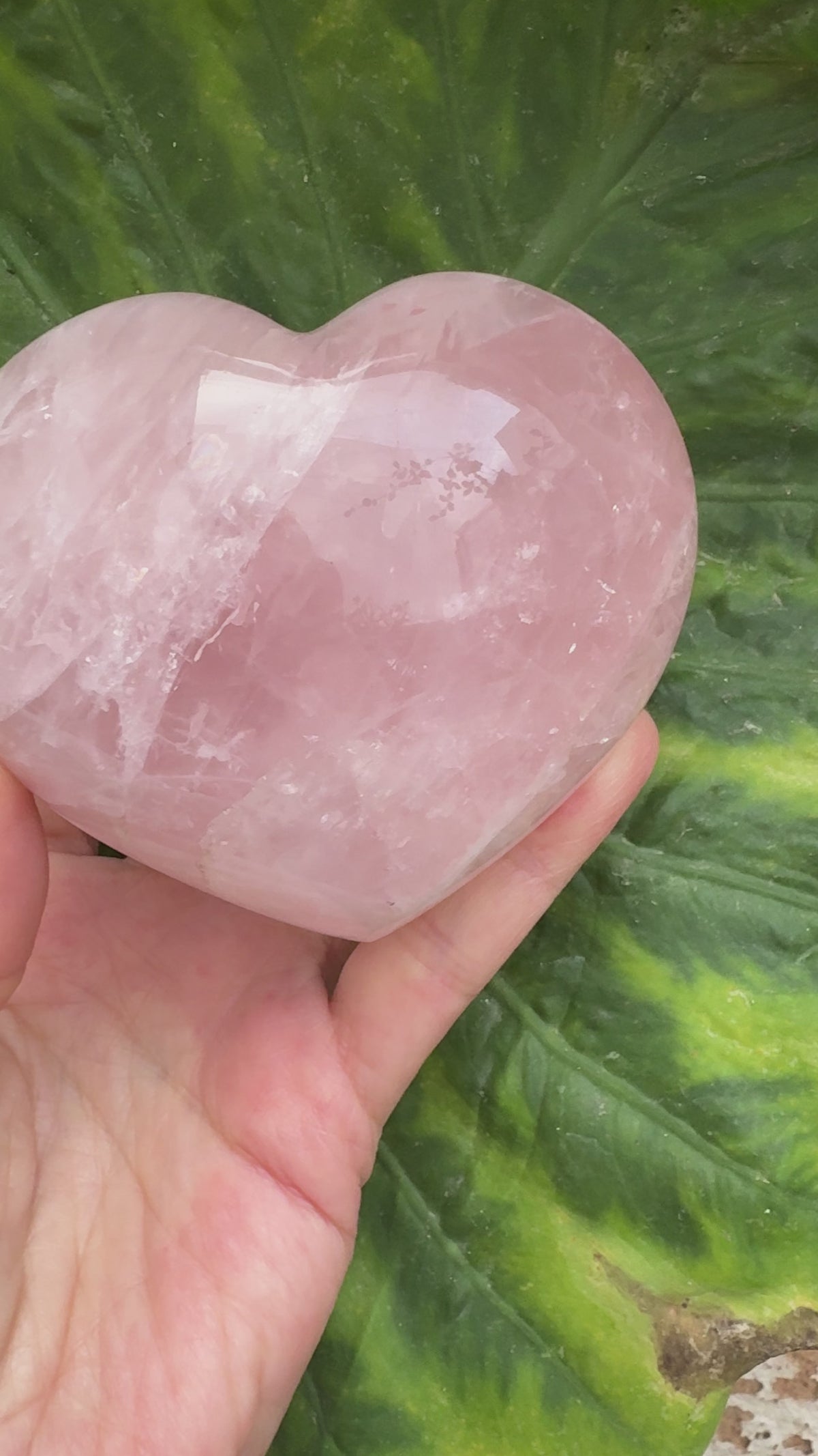 Corazón de cuarzo rosa de Madagascar - 7 x 8,1 x 4,2 cm