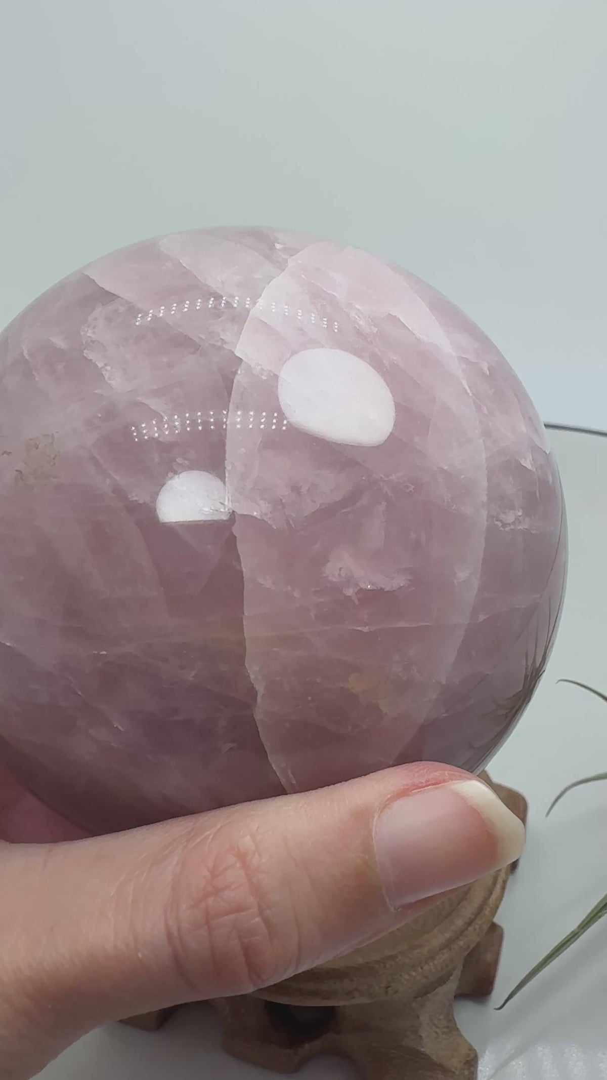 Una preciosa esfera de cuarzo rosa con zonas translúcidas y delicados velos blancos que recorren su interior. Su superficie pulida permite apreciar los distintos matices del mineral, creando una pieza llena de detalles para decorar un rincón especial o regalar con cariño.
