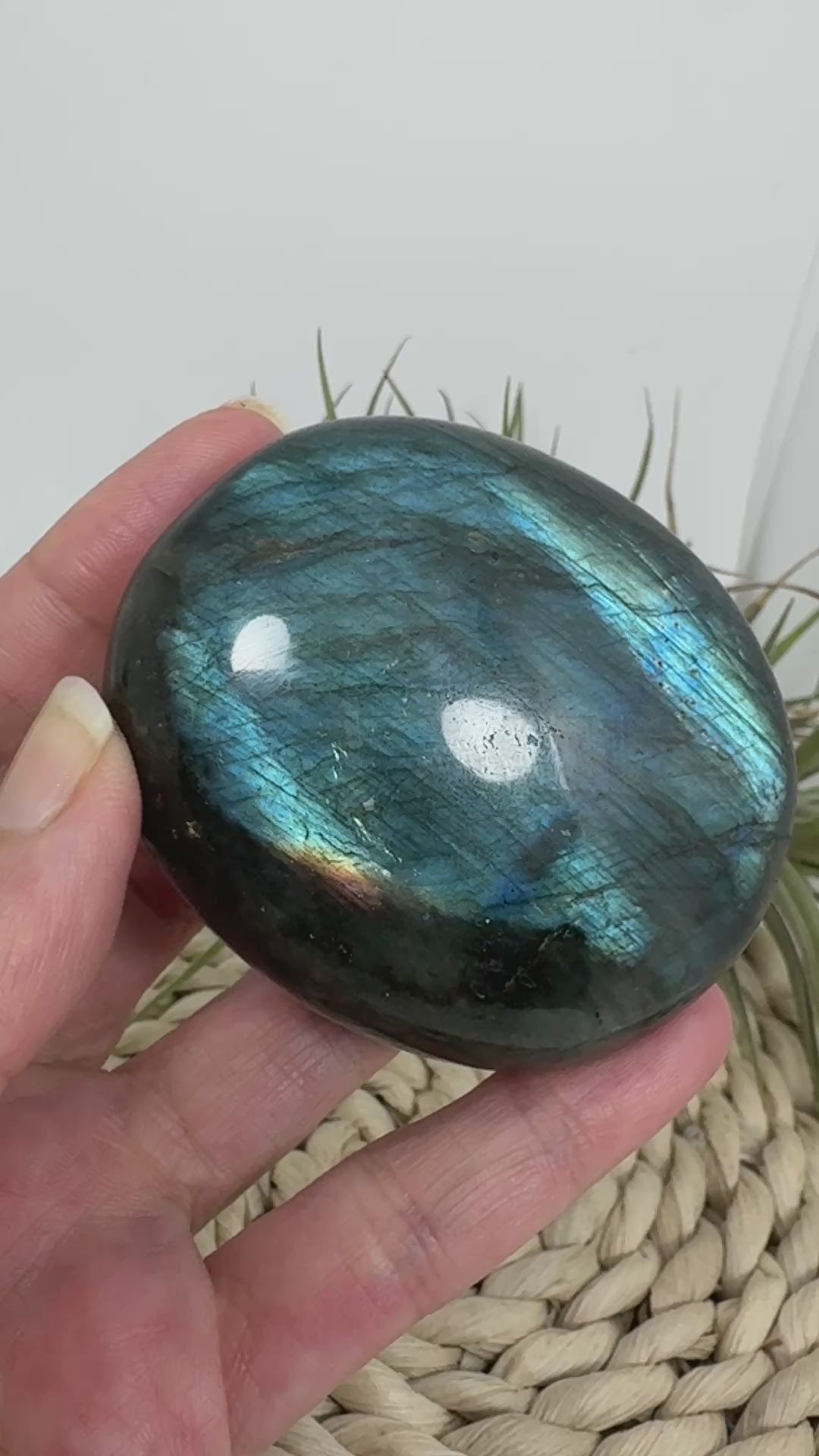 Palmstone de labradorita azul