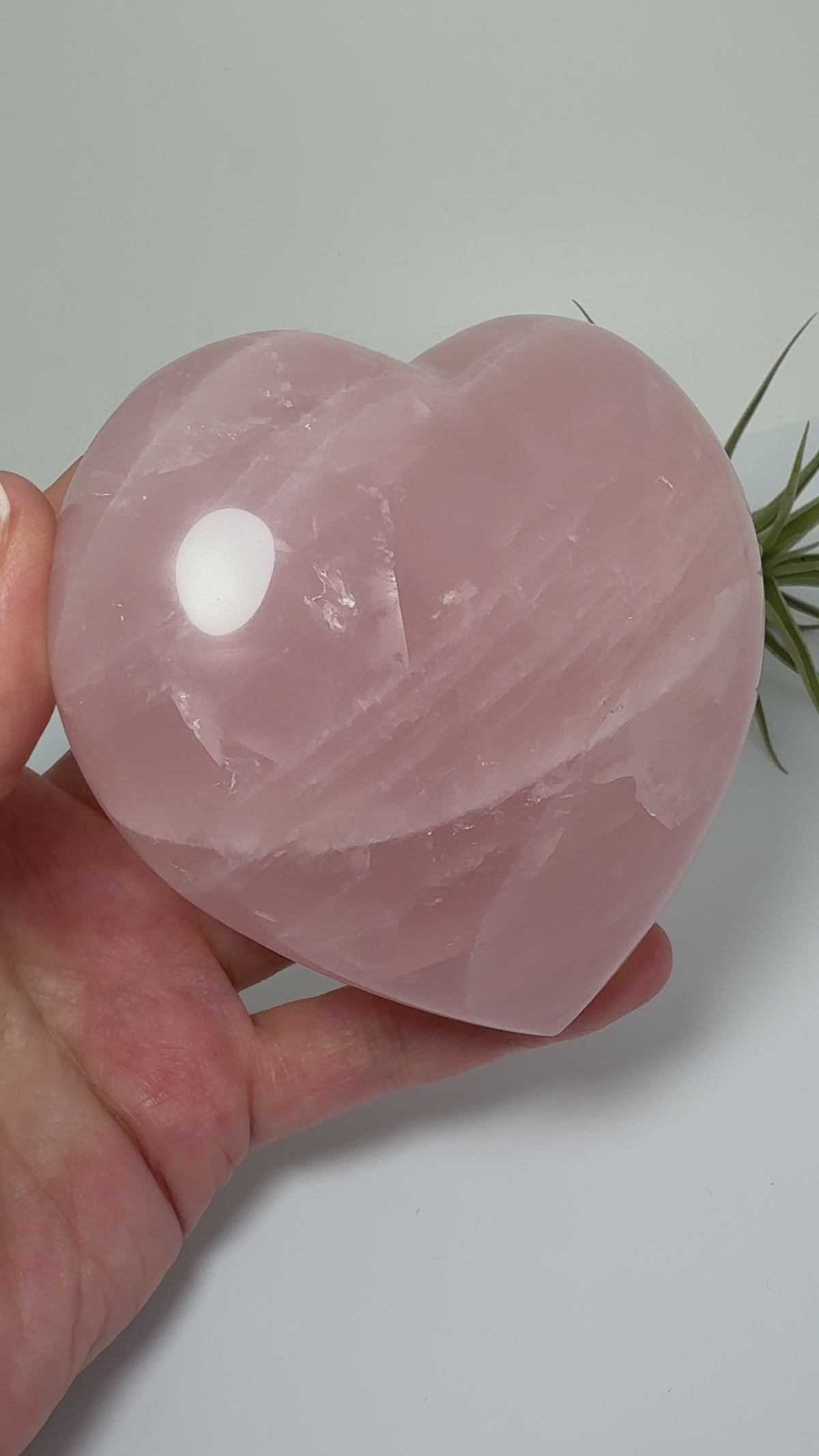 Corazón de cuarzo rosa grande de Madagascar