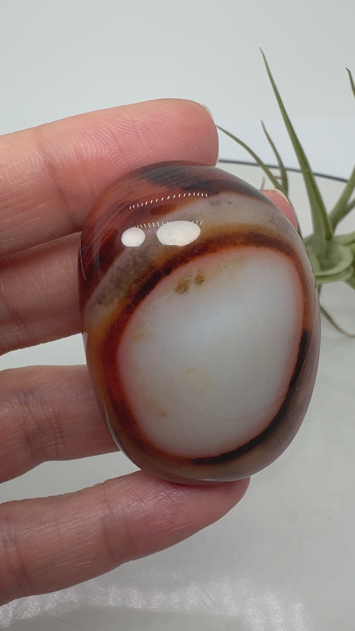 Ágata Sardónice natural de Madagascar, pulida y de pieza única. Descubre sus elegantes bandas naturales y añade un mineral exclusivo a tu colección.