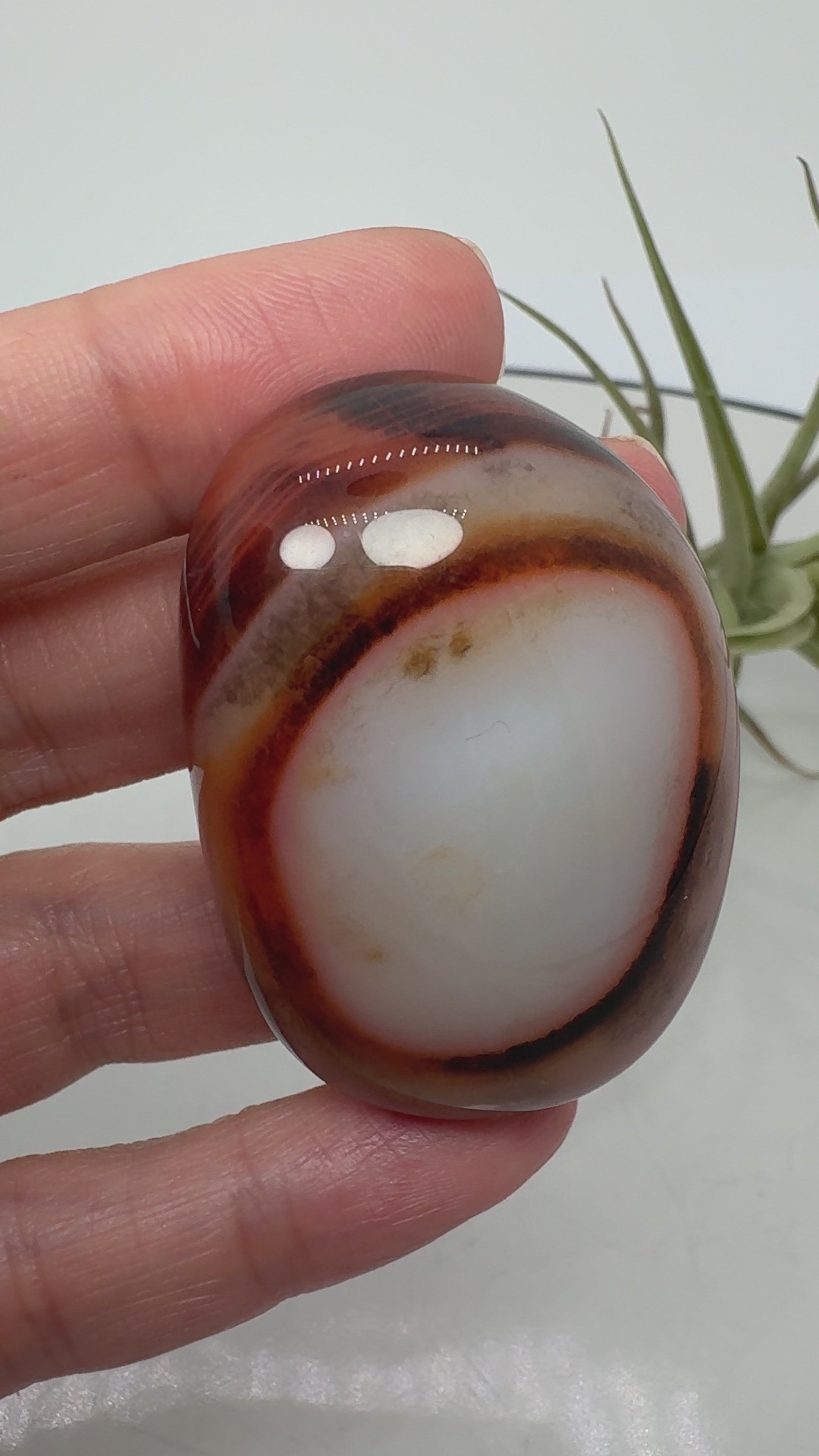 Ágata Sardónice natural de Madagascar, pulida y de pieza única. Descubre sus elegantes bandas naturales y añade un mineral exclusivo a tu colección.