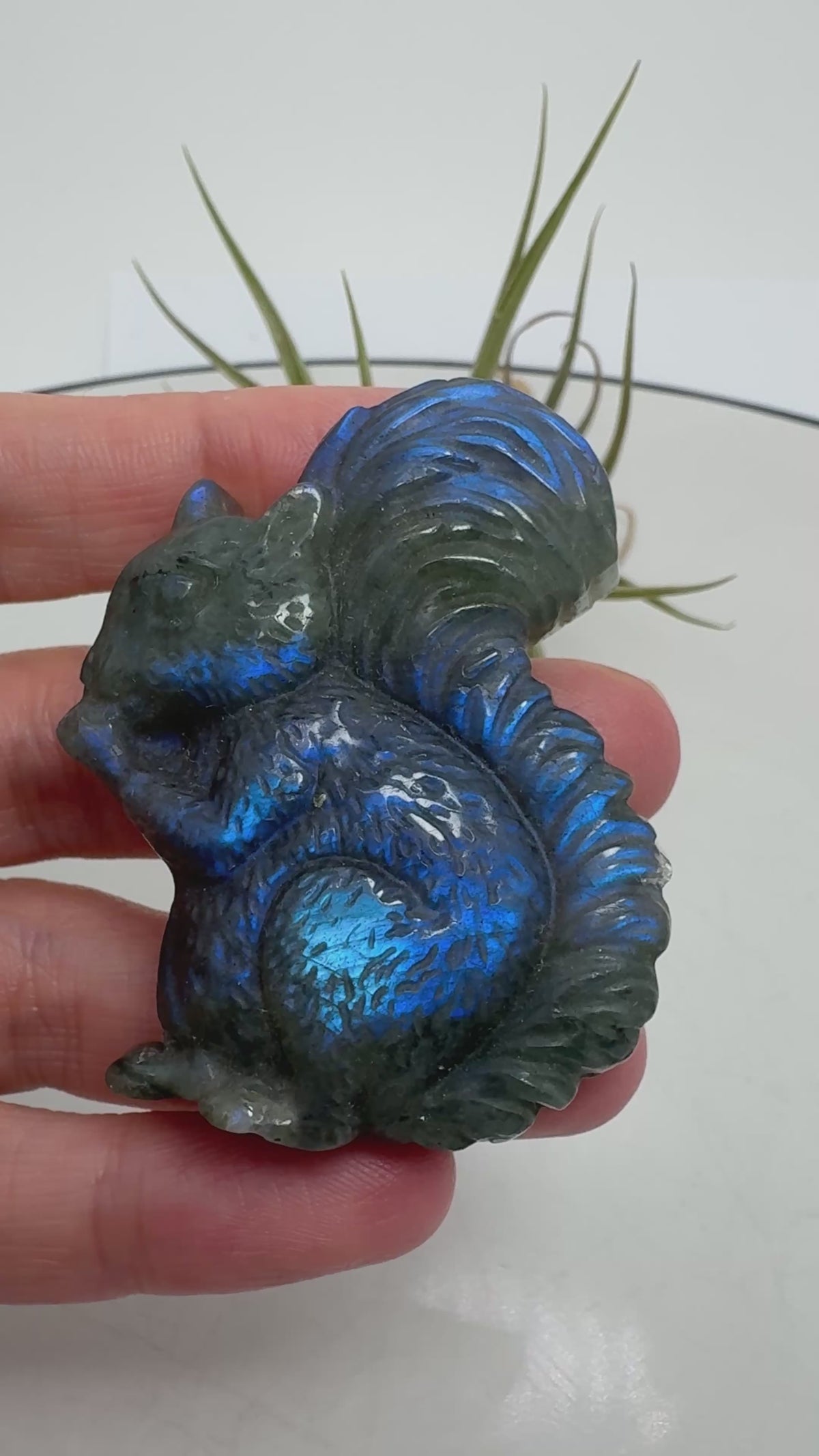 Bonita ardilla de labradorita con reflejos azules que destacan en el cuerpo y en su gran cola. Al moverla bajo la luz, el brillo cambia de intensidad y deja ver distintos matices sobre el fondo gris oscuro de la piedra.

La talla muestra los detalles del pelaje, las pequeñas patas y la cola curvada. Una figura especial para quienes disfrutan de los animales y los minerales, ideal para coleccionar o regalar.