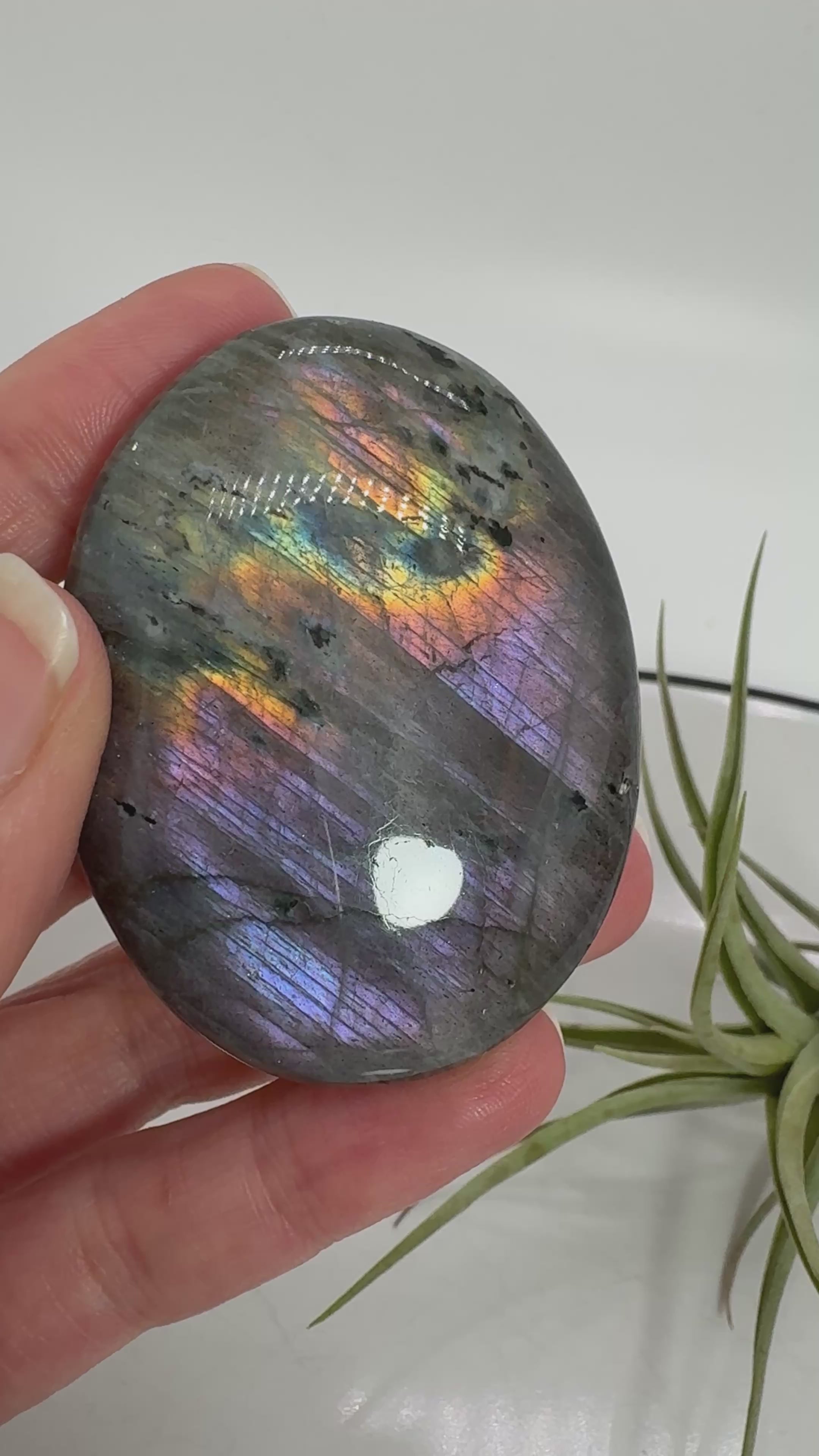 Palmstone de labradorita lila de Madagascar 