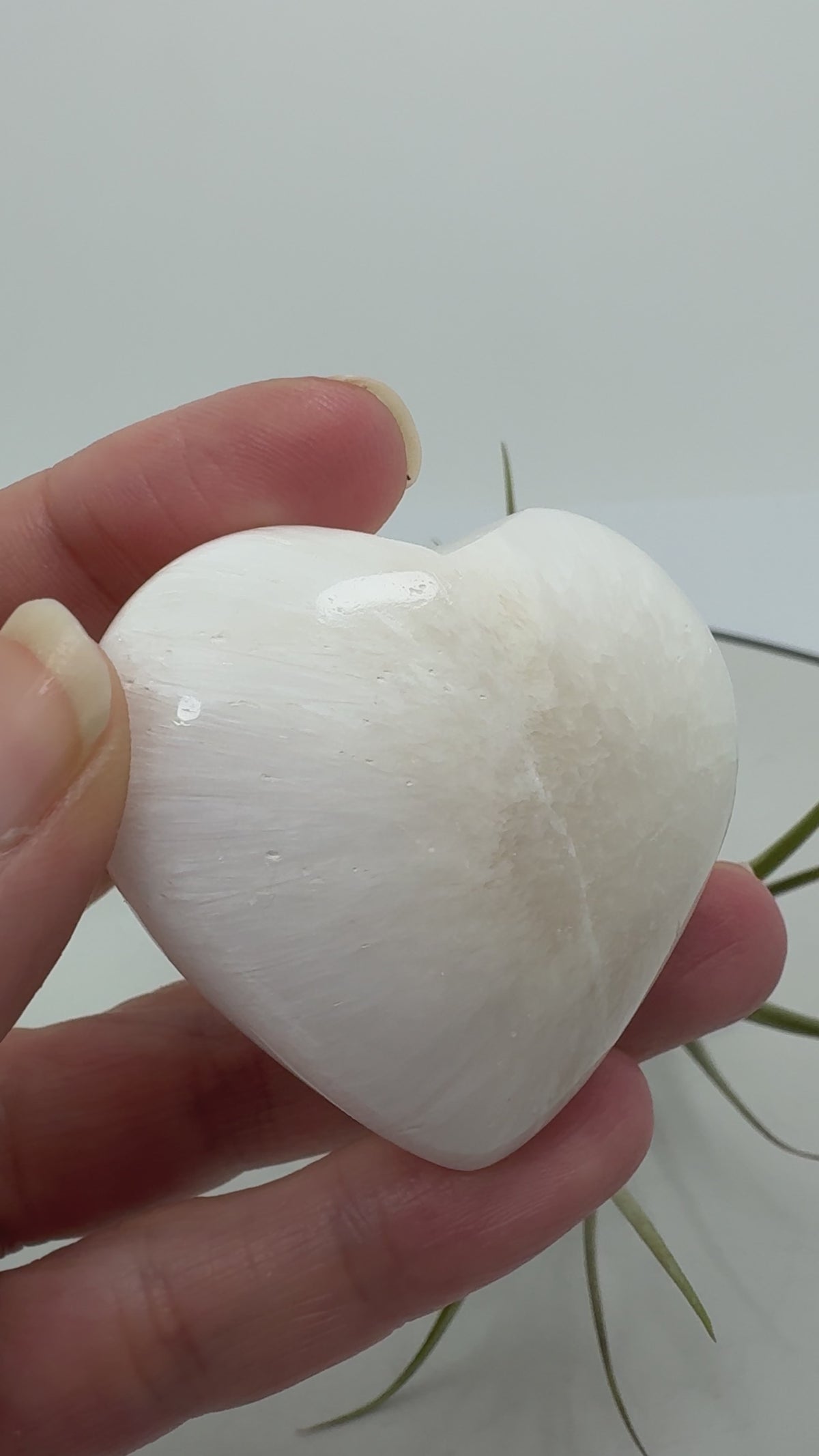 Corazón de escolecita natural pulida, una pieza de energía suave y elevada que recuerda a unas delicadas alas de ángel.

Ideal para espacios de calma, meditación y conexión espiritual y angelical.