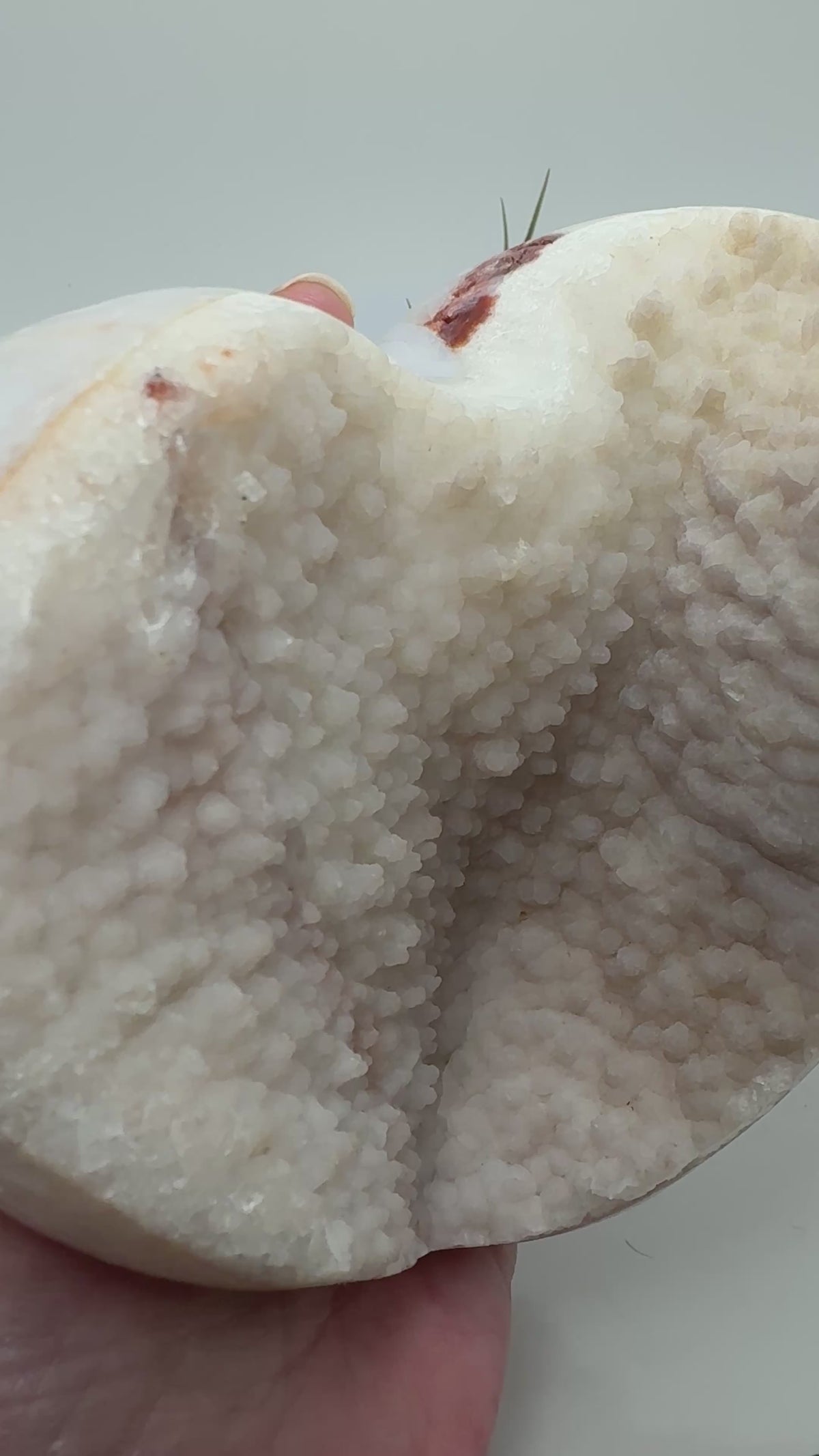 Corazón grande de ágata con una bonita geoda de calcita con micro cristalitos de cuarzo que hace que brillen, en tonos blancos y crema y rosado clarito.

Su cavidad deja a la vista los cristales, con pequeños brillos que se aprecian al moverlo bajo la luz.

Los bordes y la parte trasera están pulidos, mostrando zonas translúcidas y dibujos en tonos tierra. El contraste con la textura de la geoda hace que sea una pieza bonita por ambas caras, ideal para decorar un rincón especial o ampliar tu colección.