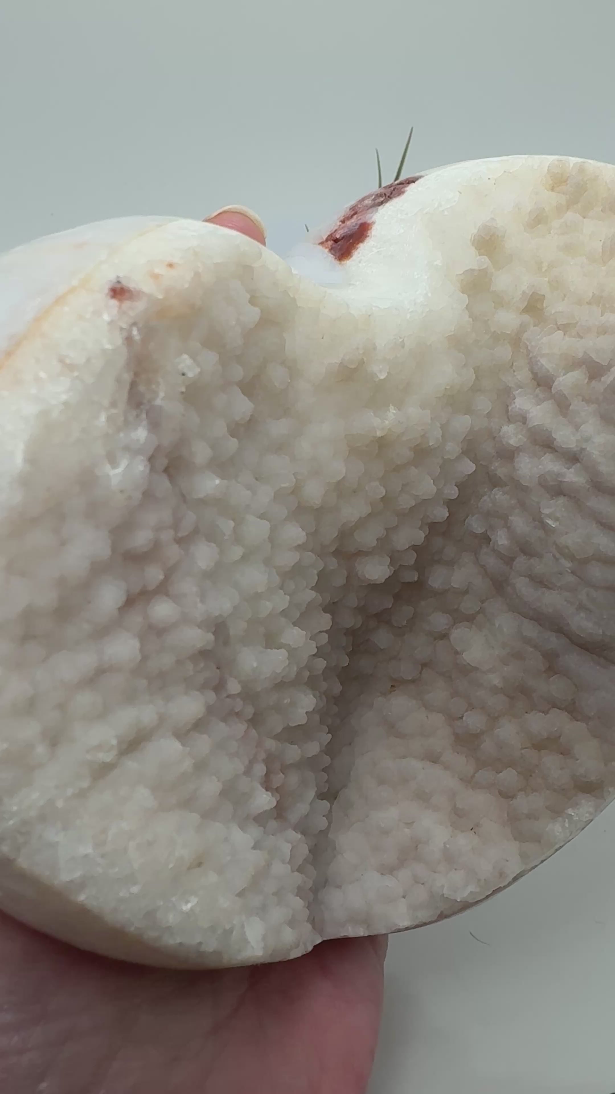 Corazón grande de ágata con una bonita geoda de calcita con micro cristalitos de cuarzo que hace que brillen, en tonos blancos y crema y rosado clarito.

Su cavidad deja a la vista los cristales, con pequeños brillos que se aprecian al moverlo bajo la luz.

Los bordes y la parte trasera están pulidos, mostrando zonas translúcidas y dibujos en tonos tierra. El contraste con la textura de la geoda hace que sea una pieza bonita por ambas caras, ideal para decorar un rincón especial o ampliar tu colección.