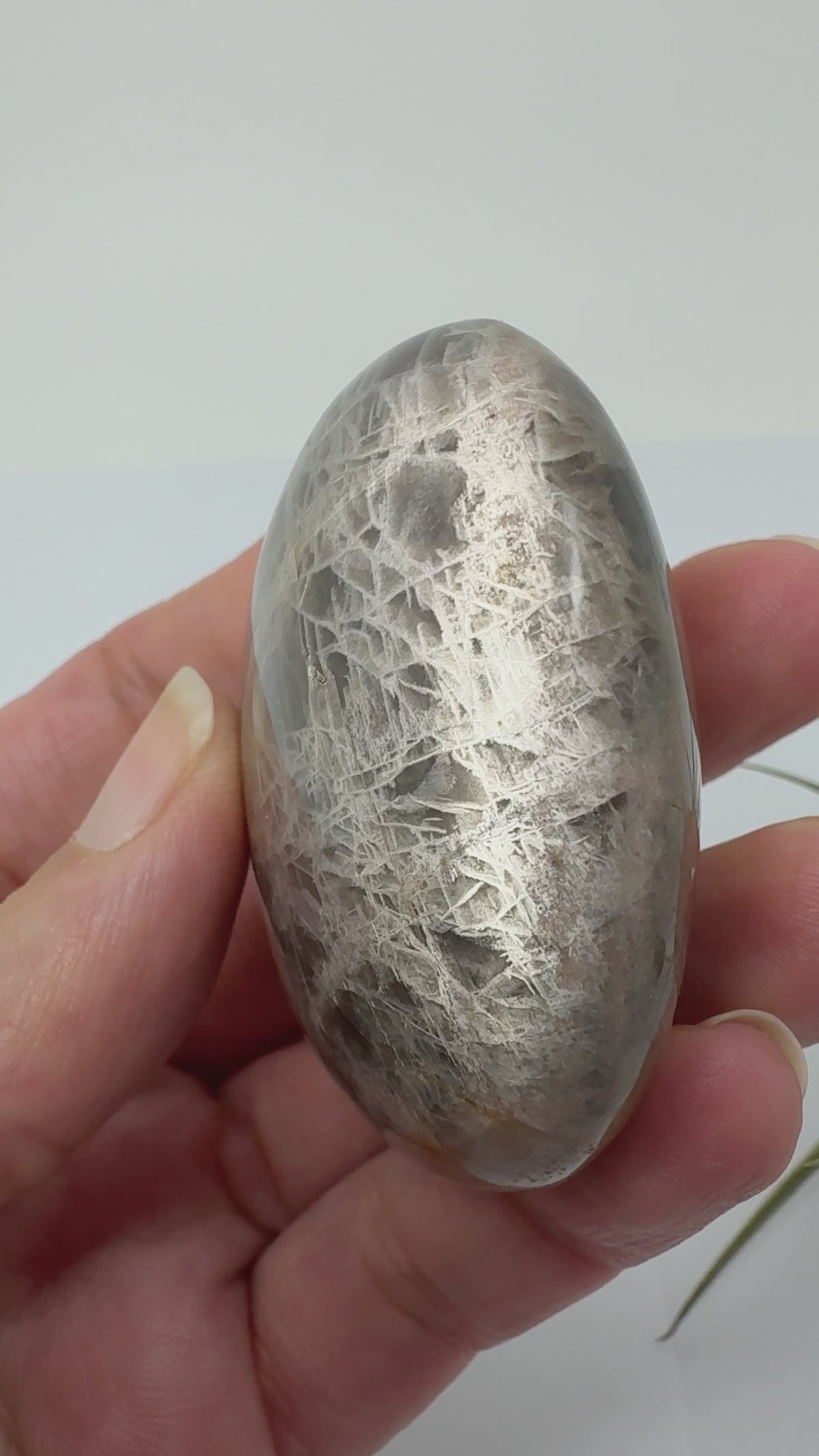 Palmstone de adularia negra de Madagascar - 4,9 x 4,9 x 2,3 cm