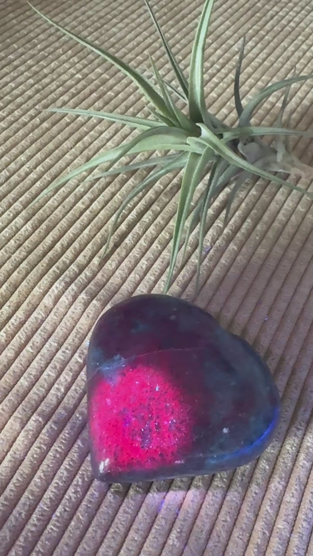 Corazón de cianita con rubí uv