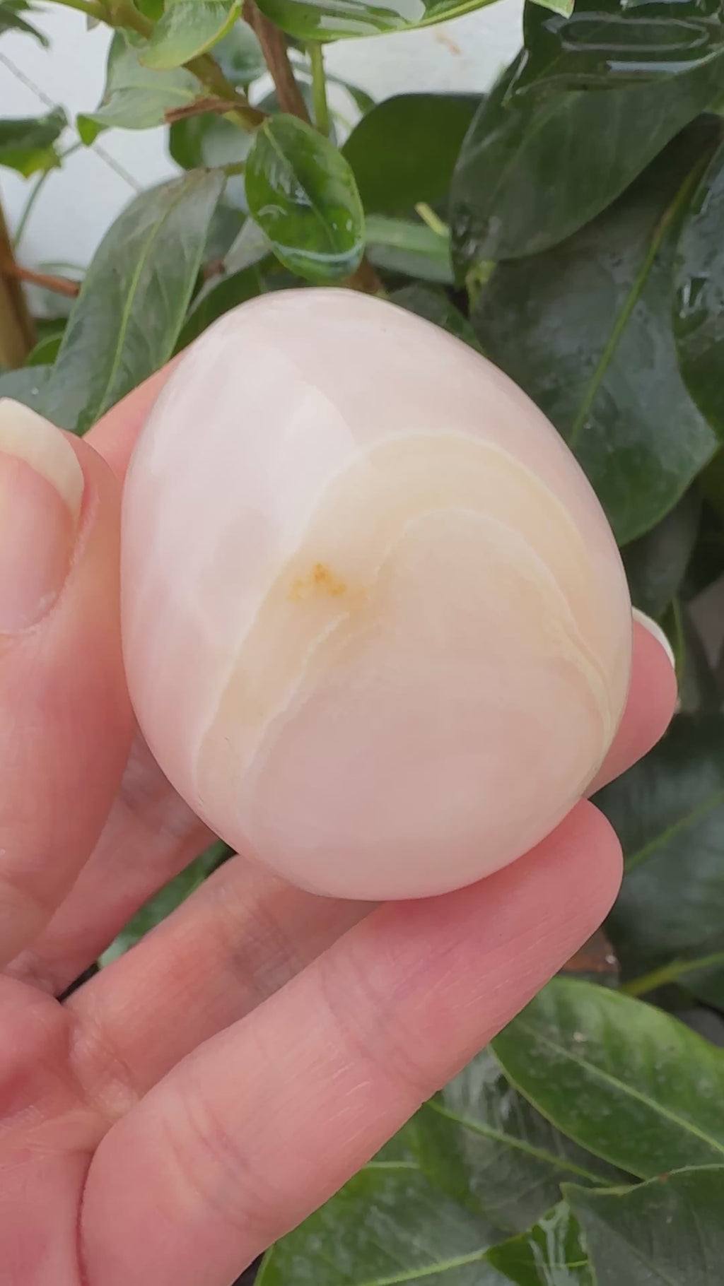 Huevo pequeño de manganocalcita pulido