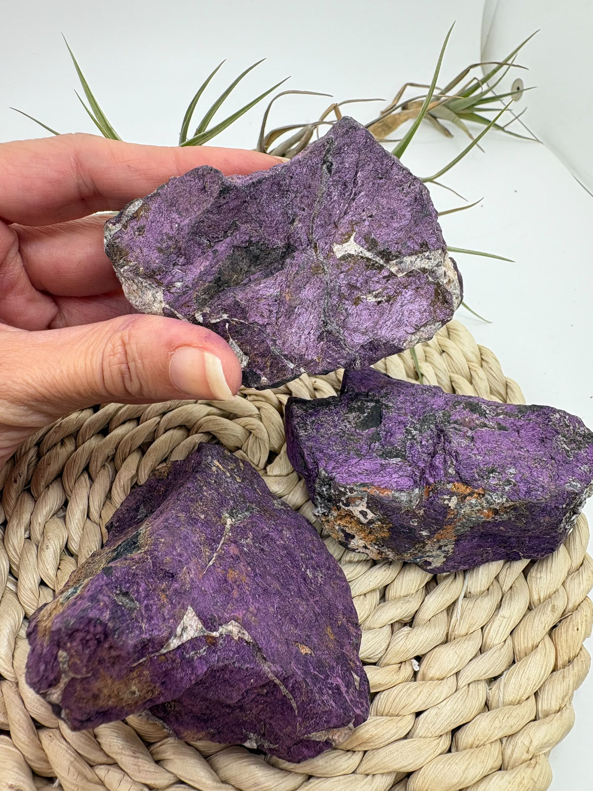 Purpurita natural en bruto procedente de Namibia. Piezas únicas de intenso color violeta para elegir, ideales para colección y meditación.