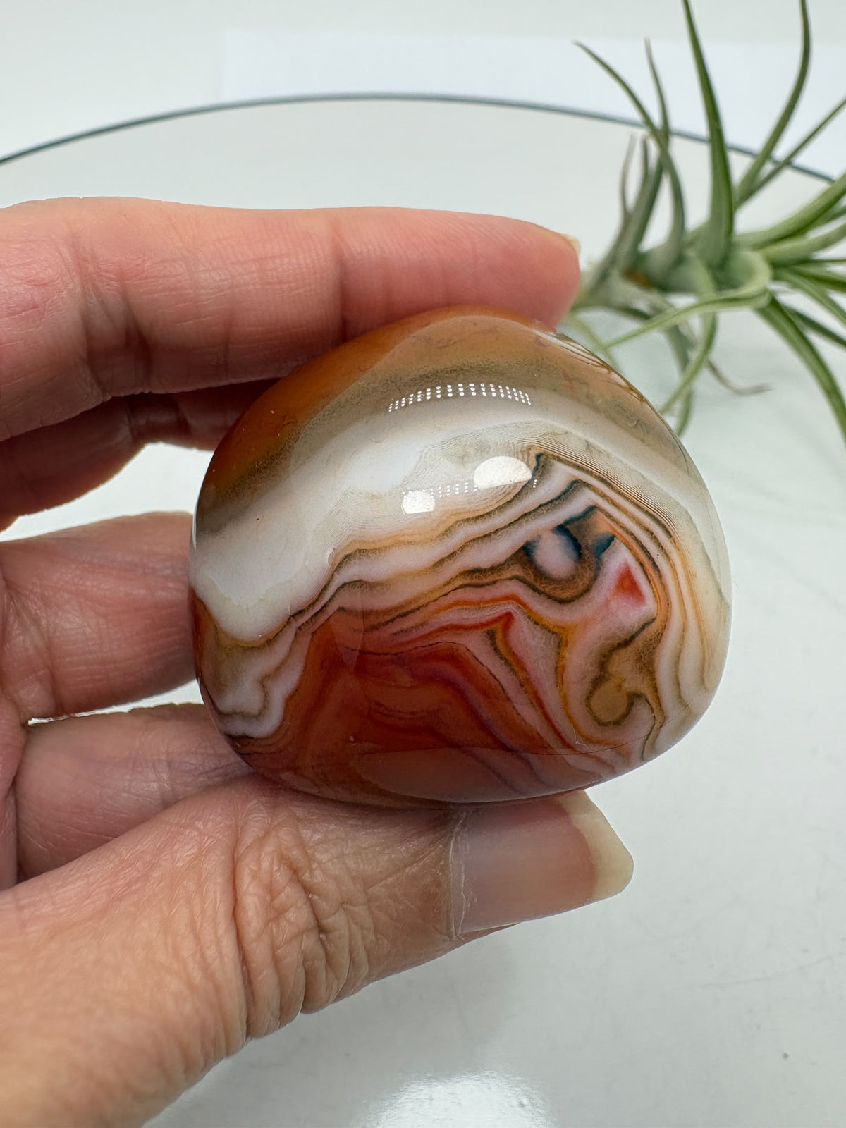 Ágata Sardónice natural procedente de Madagascar, cuidadosamente pulida para resaltar sus espectaculares bandas de tonos marrones, blancos, crema y negros.