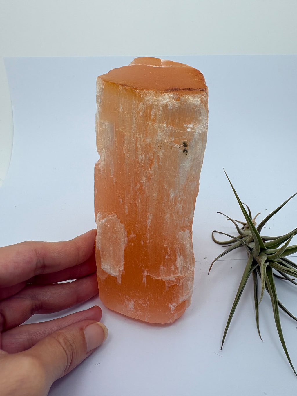 Descubre esta selenita naranja natural en bruto, de tono melocotón y brillo sedoso. Recibirás la pieza fotografiada en La Hada de las Piedras.