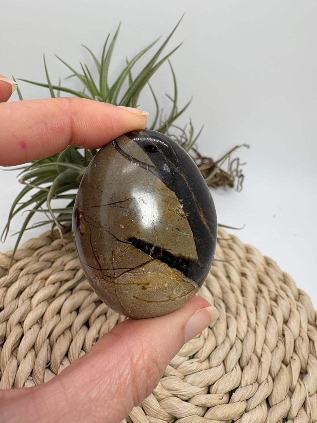 Palmstone de septaria natural. Piedra de equilibrio, protección y conexión con la tierra. Ideal para meditación y estabilidad emocional.