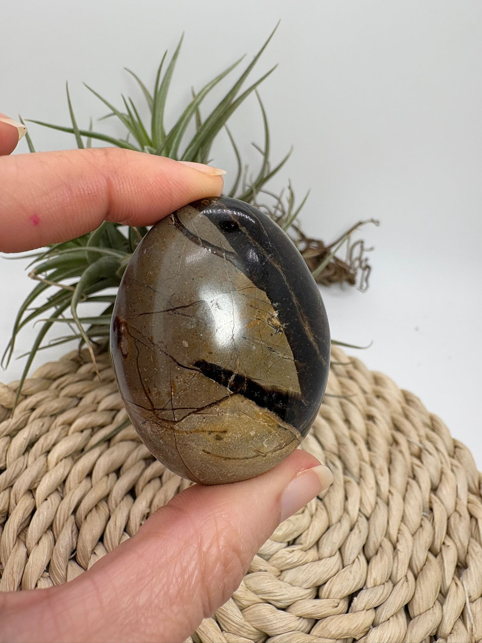 Palmstone de septaria natural. Piedra de equilibrio, protección y conexión con la tierra. Ideal para meditación y estabilidad emocional.