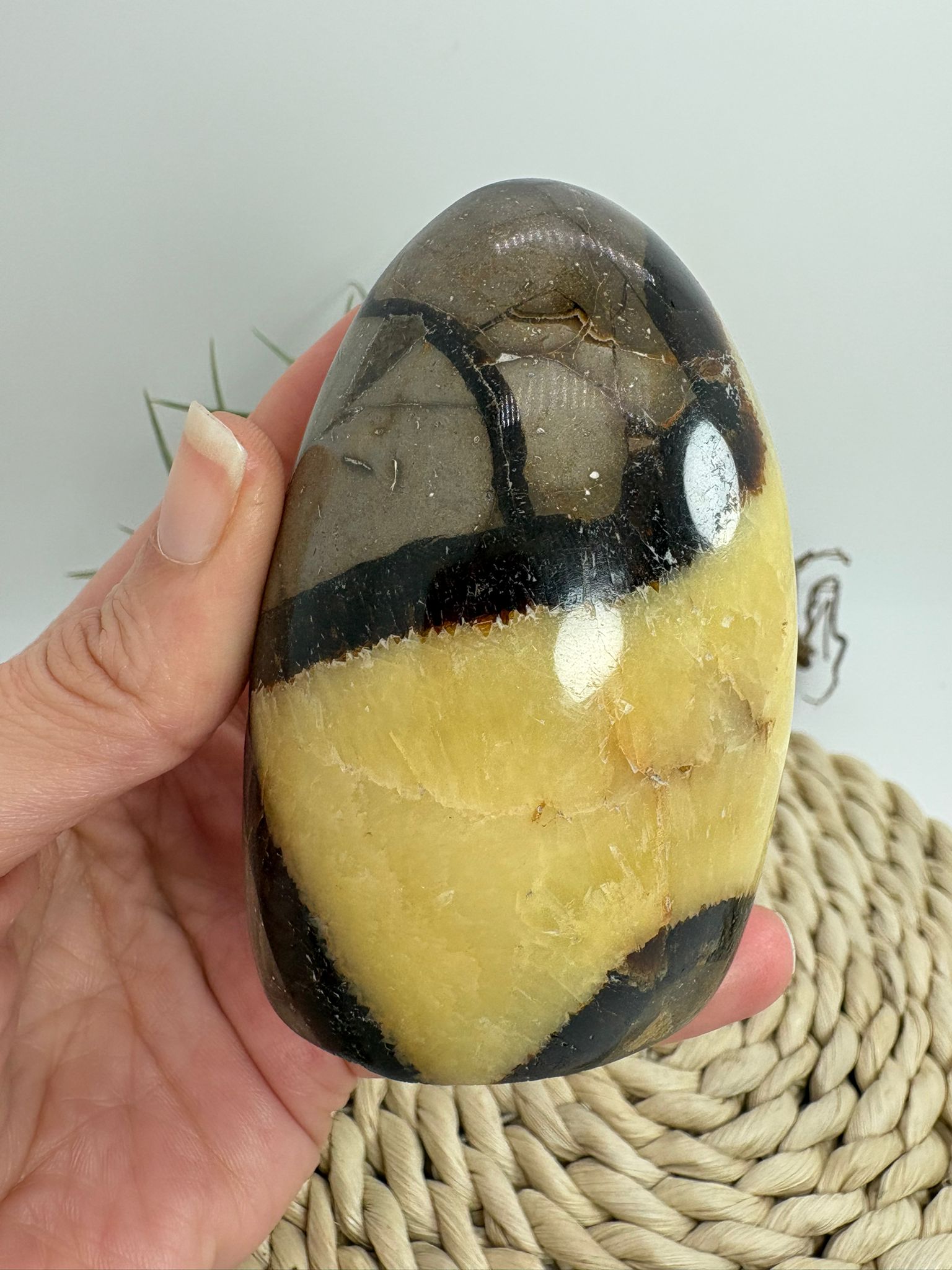 Septaria pulida en forma libre, piedra natural de equilibrio y conexión con la tierra. Ideal para decoración, bienestar y colección de minerales.