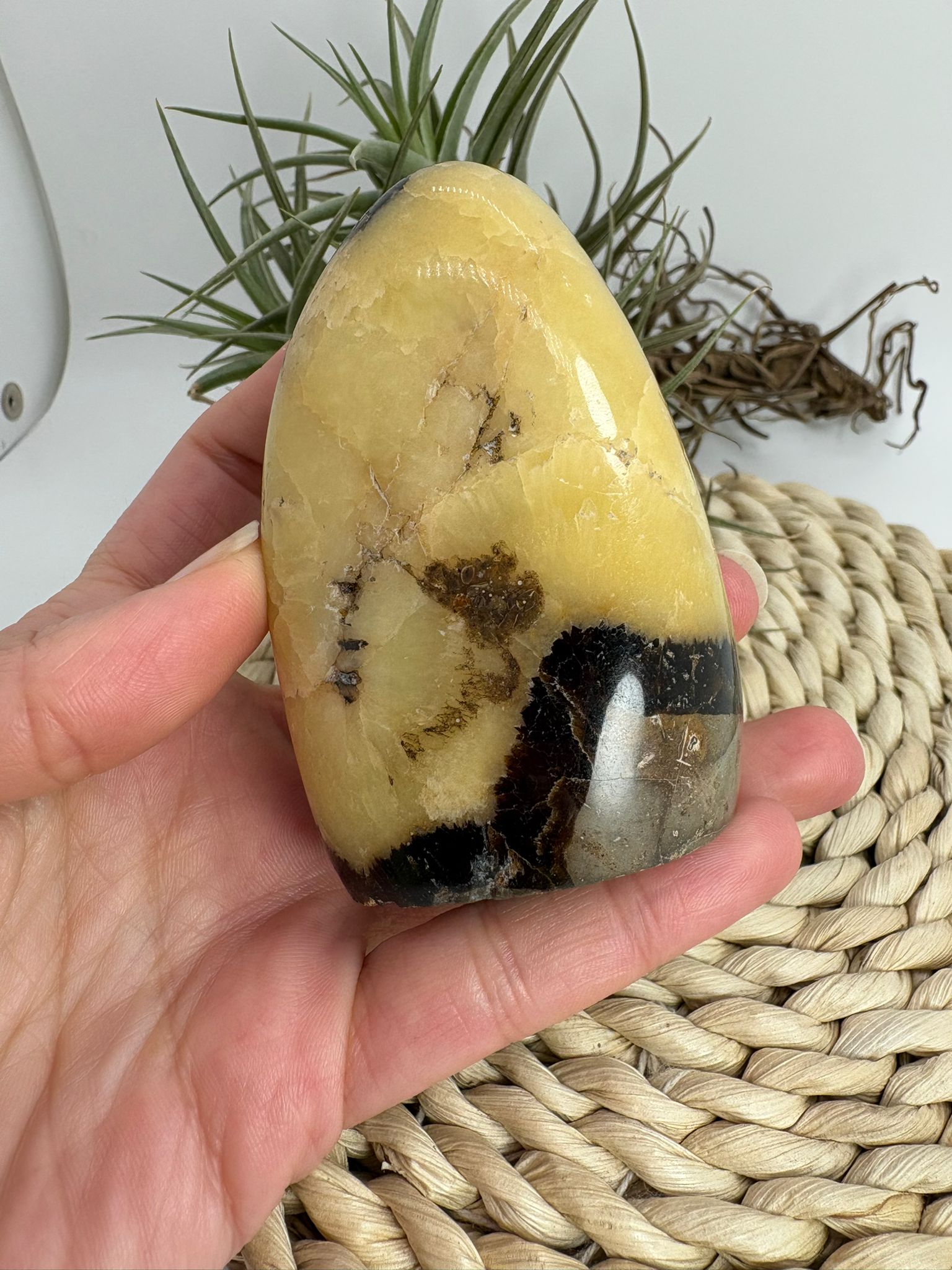 Septaria pulida en forma libre, piedra natural de equilibrio y conexión con la tierra. Ideal para decoración, bienestar y colección de minerales.