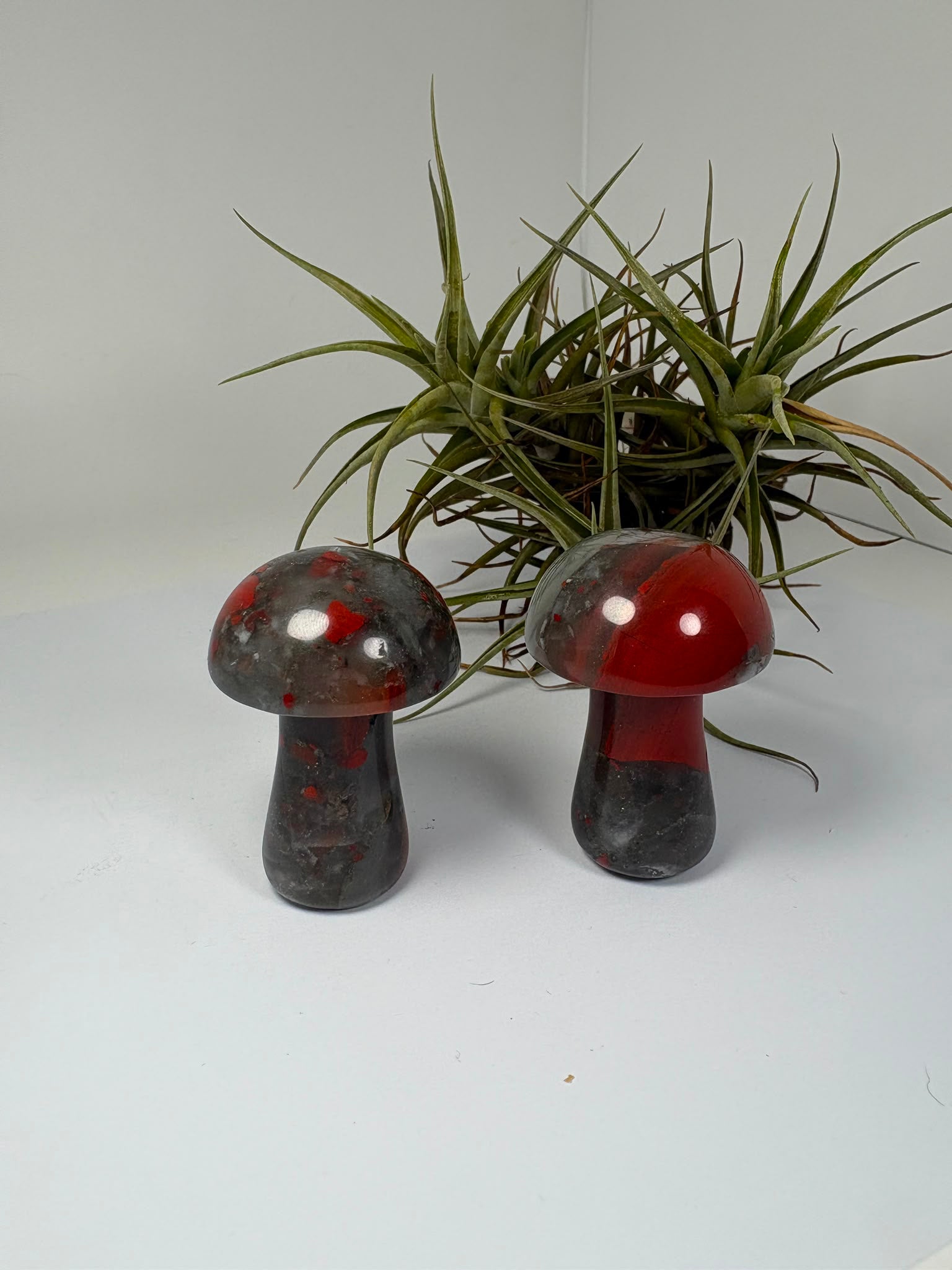 Seta de jaspe heliotropo natural pulido de 5 x 3,5 cm. Mineral único con tonos verdes y rojos, ideal para colección, decoración o regalo.