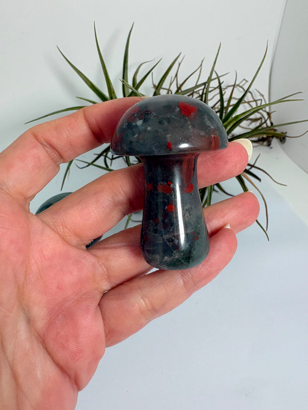 Seta de jaspe heliotropo natural pulido de 5 x 3,5 cm. Mineral único con tonos verdes y rojos, ideal para colección, decoración o regalo.