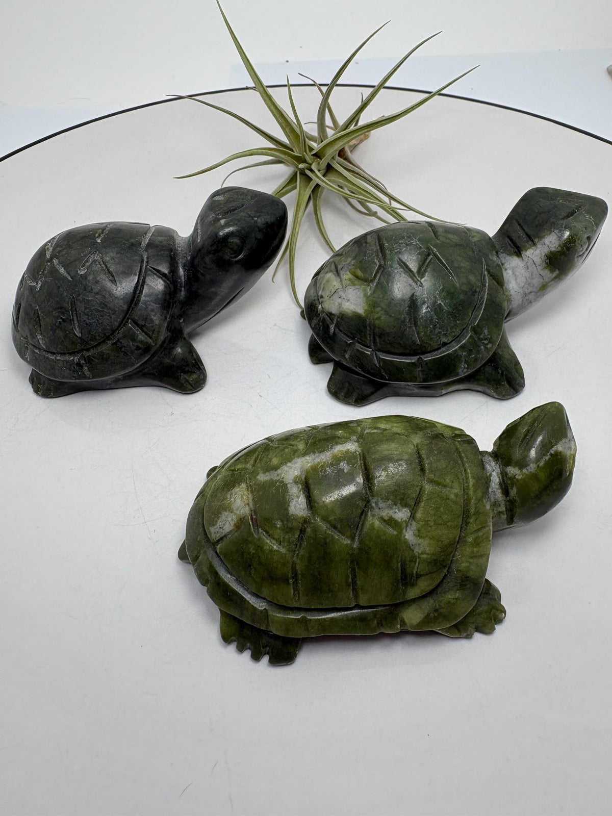 Descubre nuestras tortugas talladas en jade nefrita, con preciosos tonos verdes y detalles únicos. Elige tu favorita en La Hada de las Piedras.