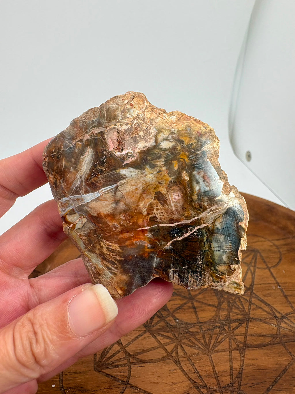 Xilópalo natural pulido o madera fosilizada opalizada de 6,6 × 5,2 × 1,7 cm. Pieza única ideal para colección, decoración y amantes de los minerales.