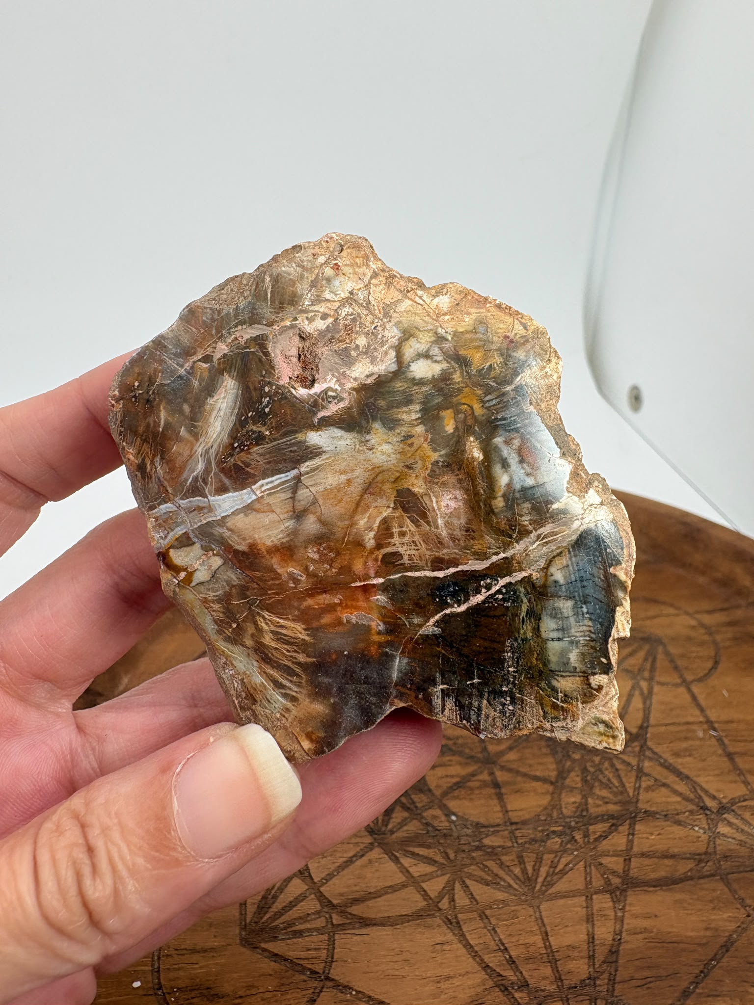 Xilópalo natural pulido o madera fosilizada opalizada de 6,6 × 5,2 × 1,7 cm. Pieza única ideal para colección, decoración y amantes de los minerales.