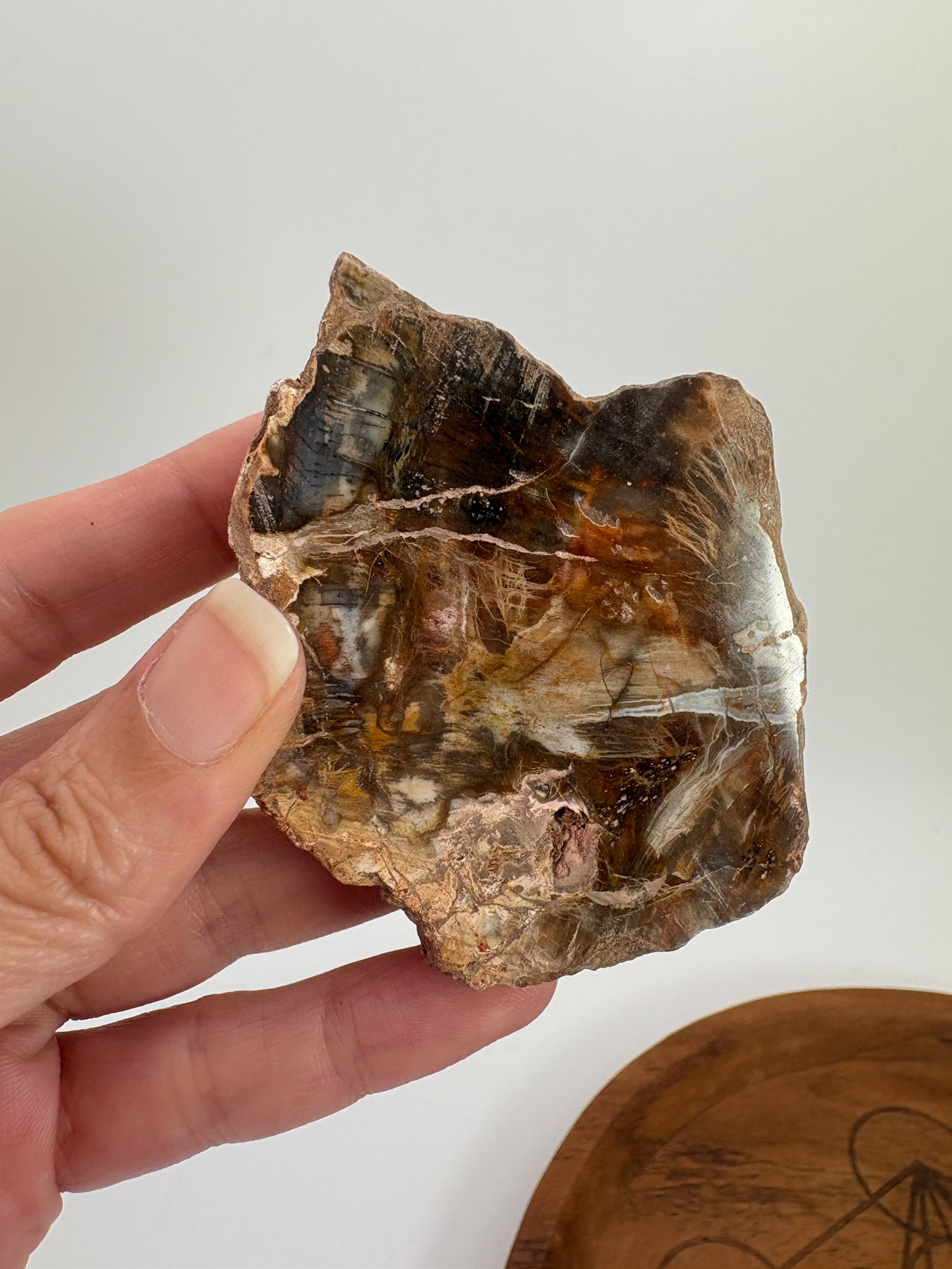 Xilópalo natural pulido o madera fosilizada opalizada de 6,6 × 5,2 × 1,7 cm. Pieza única ideal para colección, decoración y amantes de los minerales.